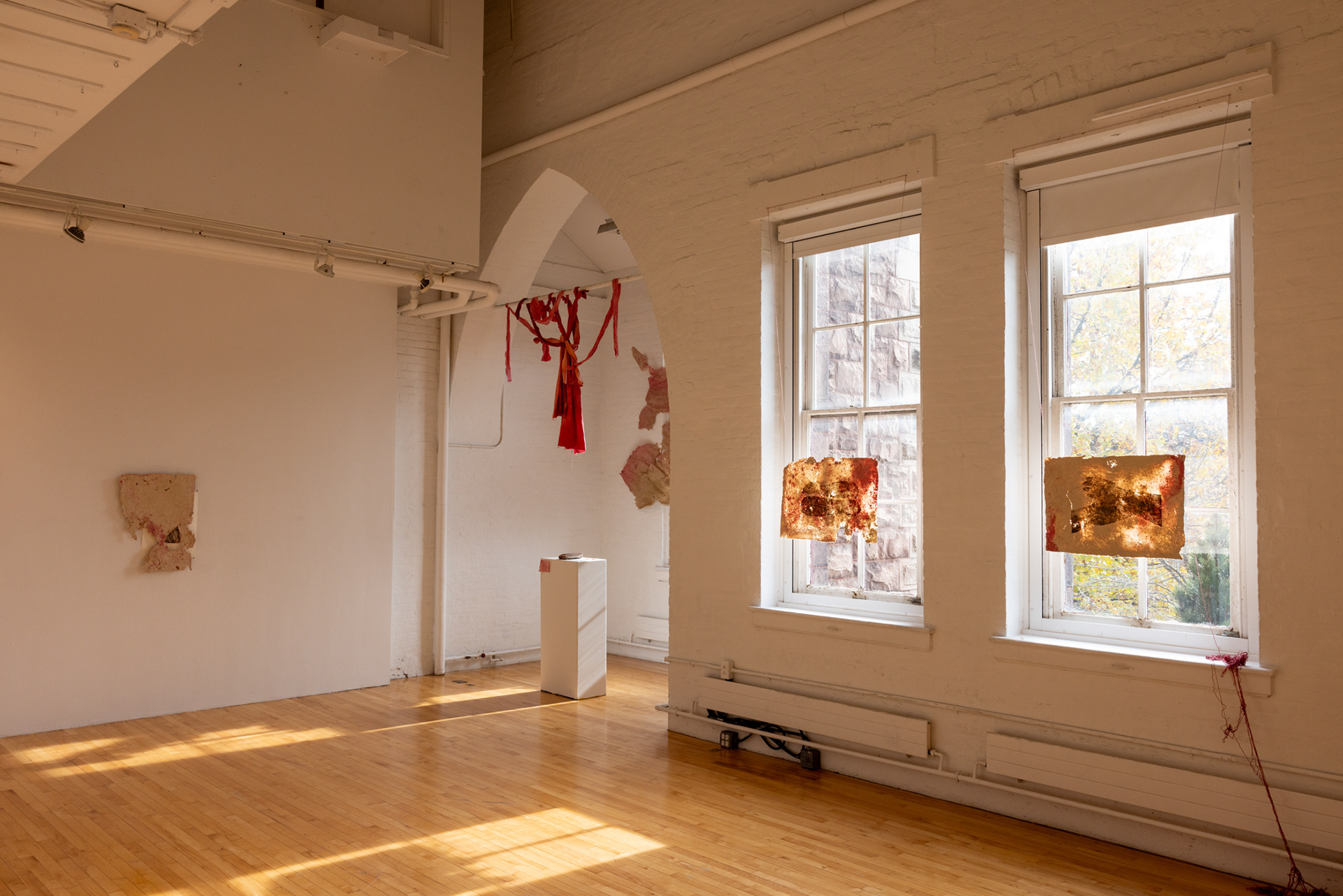 Savannah Flores, Salt: Reconnecting and Disconnecting, 2023. Various Mediums.