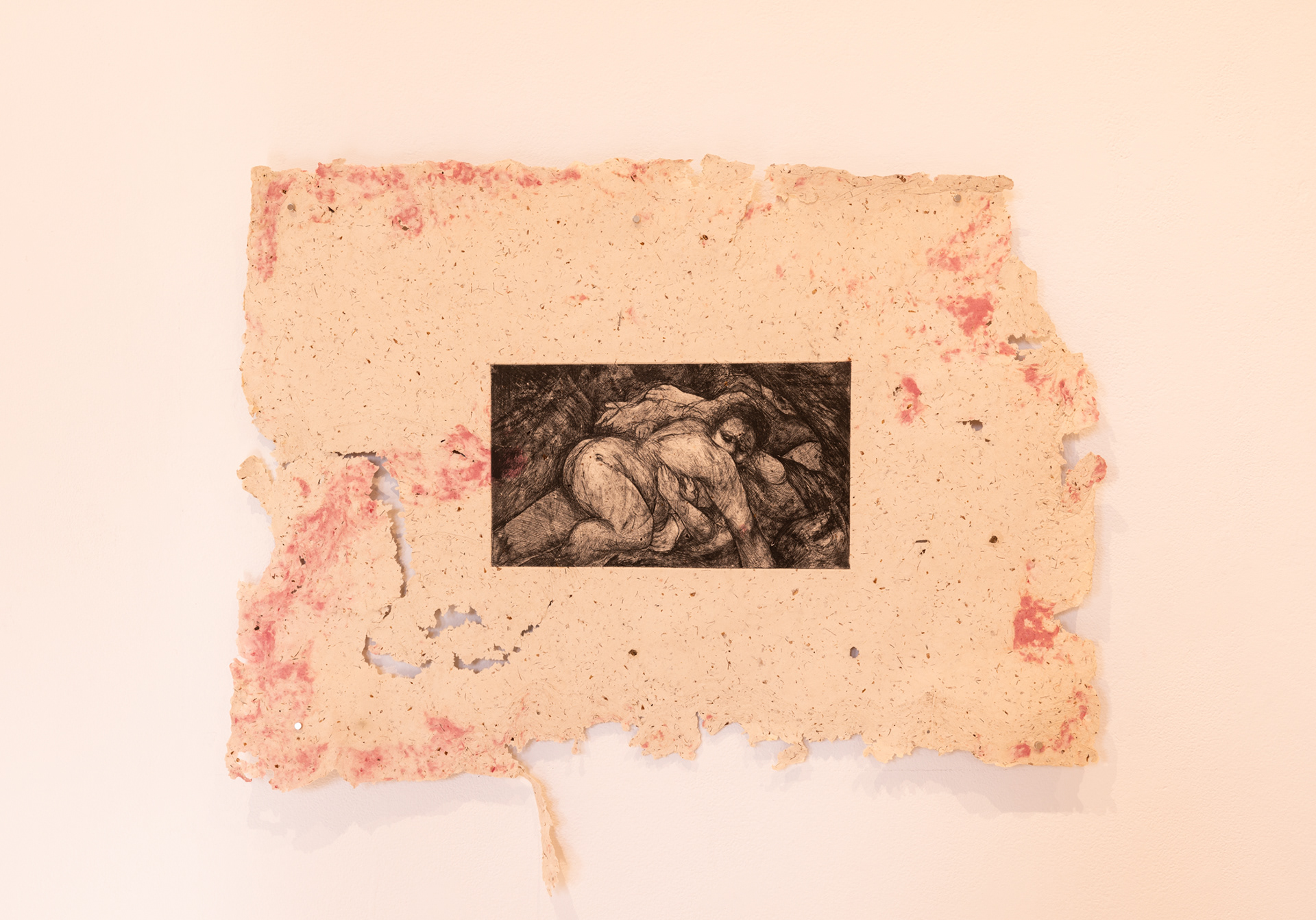 Savannah Flores, Coddle, 2023. Intaglio with Soft-ground on Cochineal (Pink/Red tones) paper Pulp painted onto Corn Husk Abaca and Cotton Paper, 30” x 20.