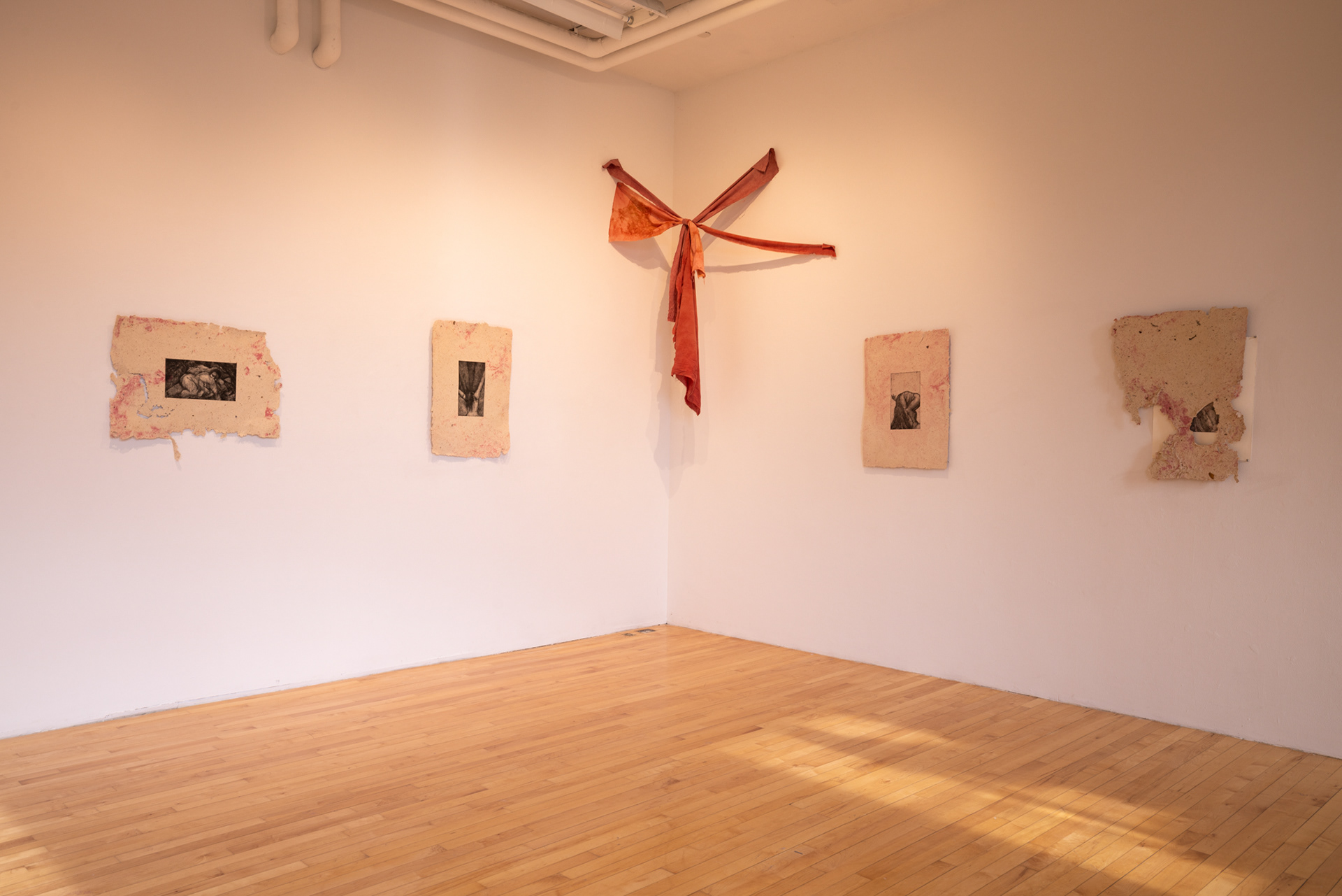 Savannah Flores, Salt: Reconnecting and Disconnecting, 2023. Various Mediums.