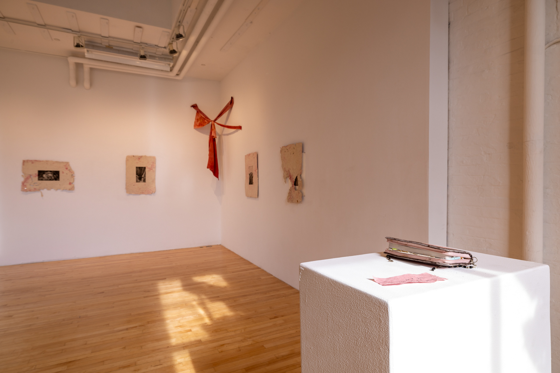 Savannah Flores, Salt: Reconnecting and Disconnecting, 2023. Various Mediums.