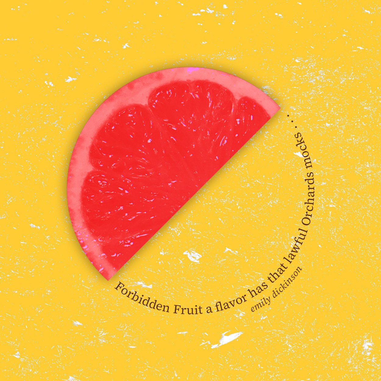 A slice of juicy, pink-colored fruit fills up half a circle above a scratchy, yellow background; the other half of the circle is made up of text from an Emily Dickinson poem, which reads “Forbidden Fruit a flavor has that lawful Orchards mocks …”; just outside the circle, in lowercase text, is the name “Emily Dickinson”; the poem and name are written in a serif font that is colored dark red.