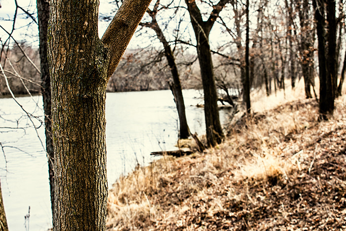 Close-up of a tree with a river in the background at Aztalan State Park in Wisconsin.
