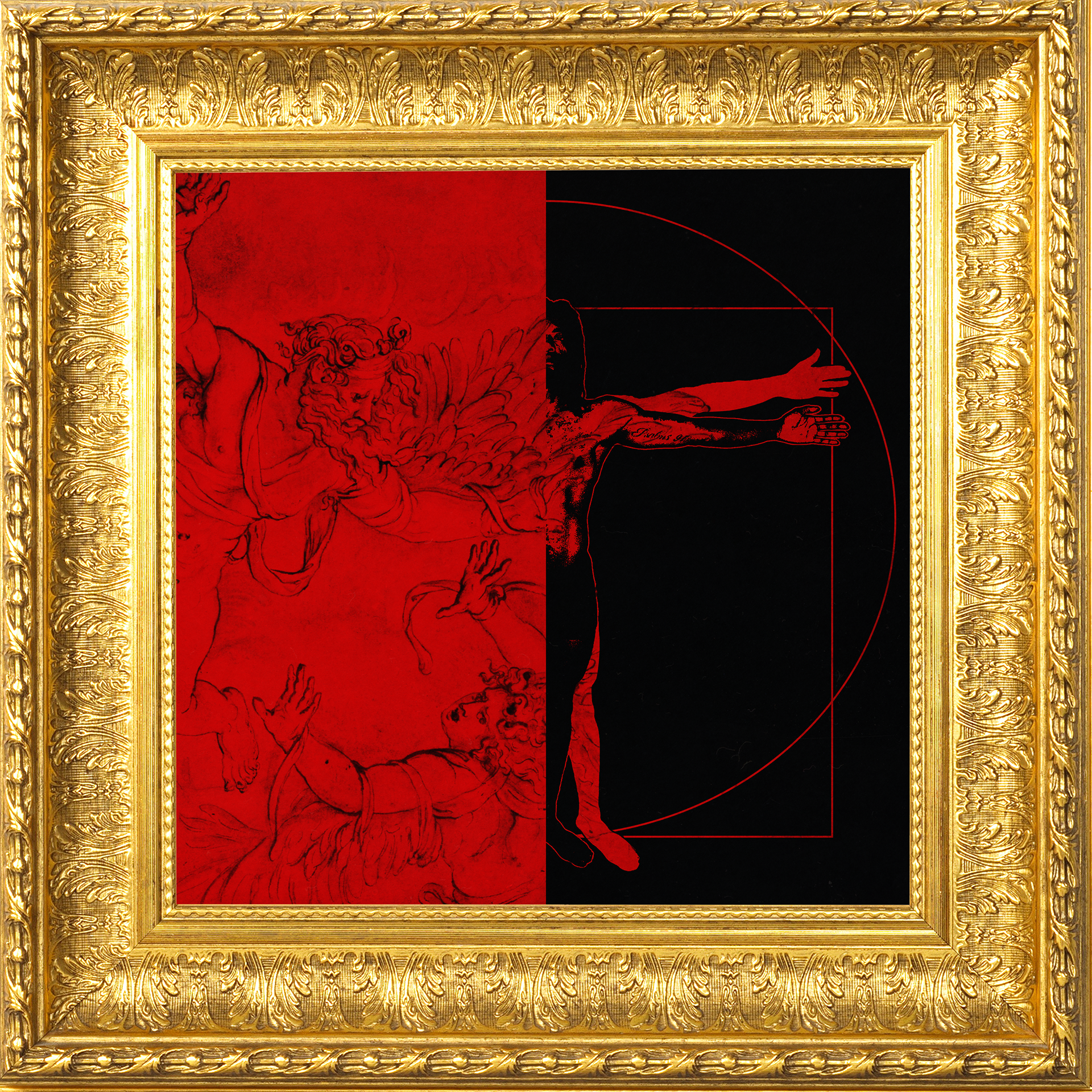 Shaya Rhymes - "Wins & Losses"