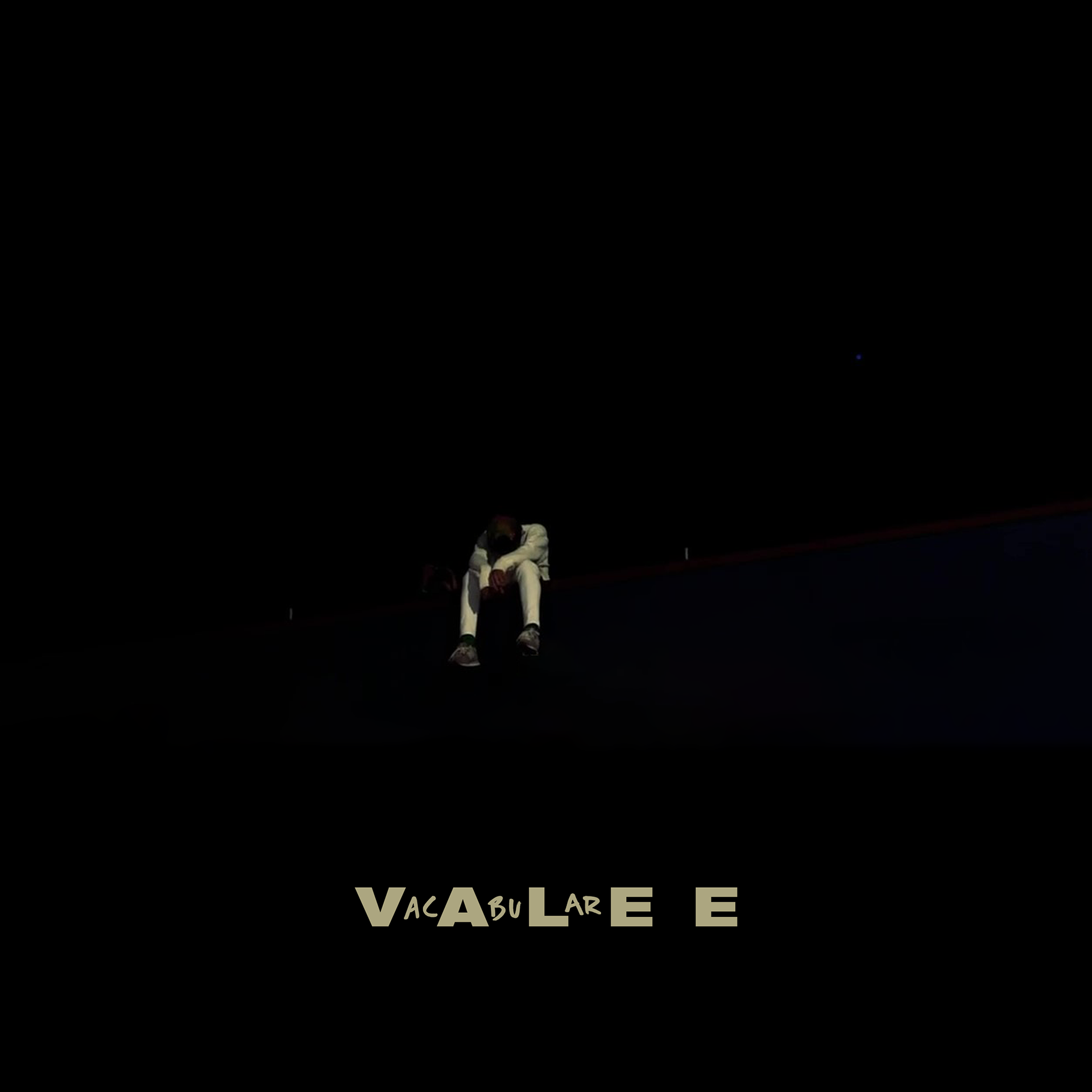Valee - VacAbuLarEE