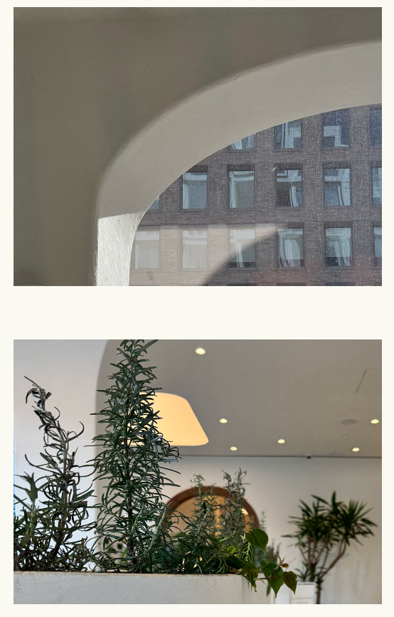 Arch and Plant Detail