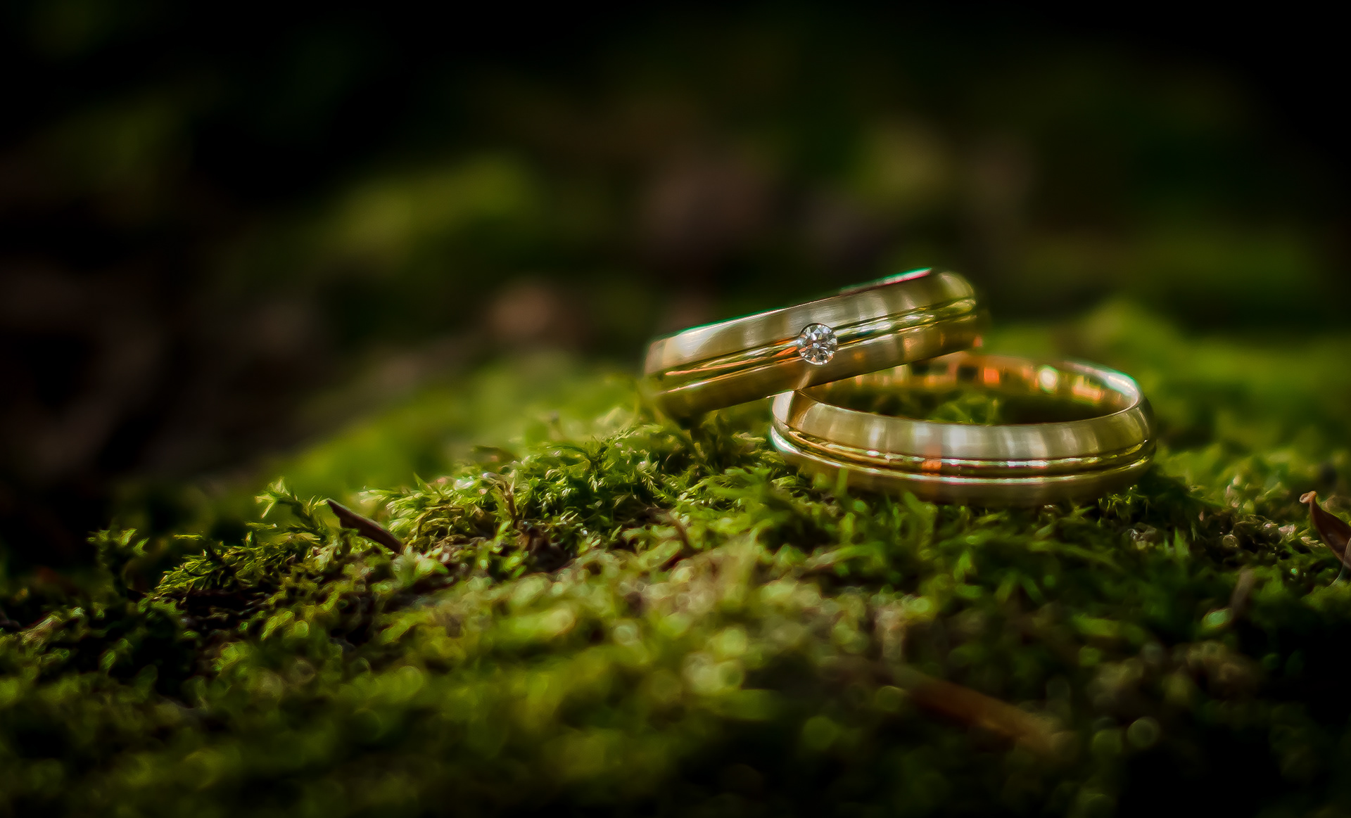 Hochzeit / Julia Eder Fotografie