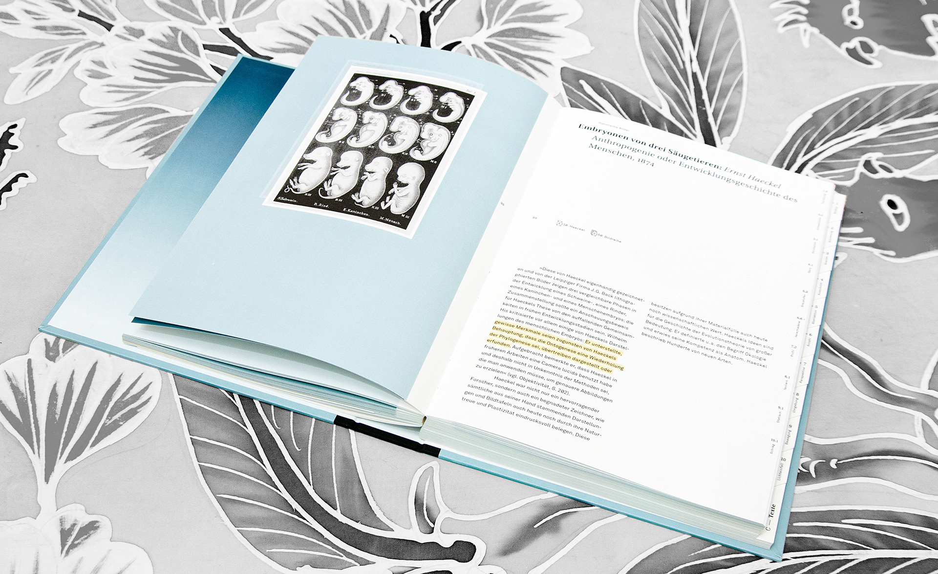 Das wahre Bild Daid Skopec Universtity of Applied Science Berlin Editorial Design Bookdesign Buchgestaltung Saskia Nebel