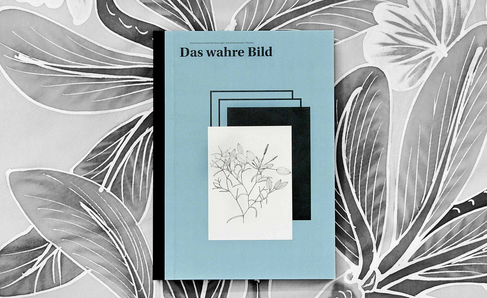 Das wahre Bild Daid Skopec Universtity of Applied Science Berlin Editorial Design Bookdesign Buchgestaltung Saskia Nebel