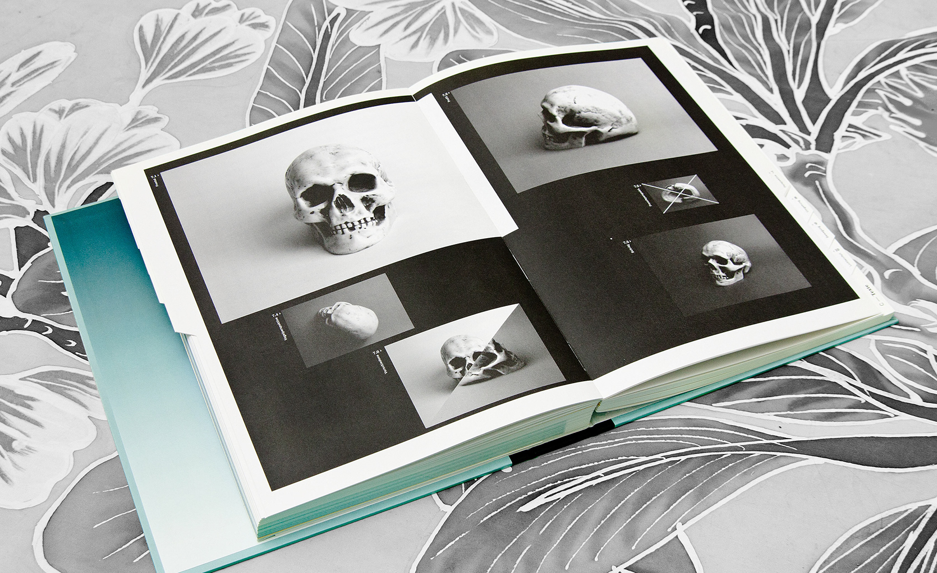 Das wahre Bild Daid Skopec Universtity of Applied Science Berlin Editorial Design Bookdesign Buchgestaltung Saskia Nebel