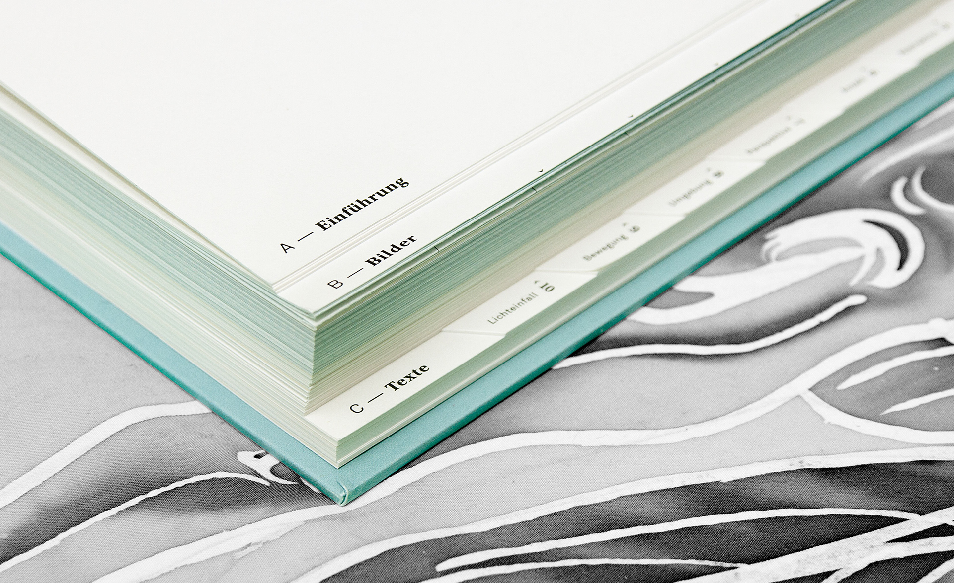 Das wahre Bild Daid Skopec Universtity of Applied Science Berlin Editorial Design Bookdesign Buchgestaltung Saskia Nebel