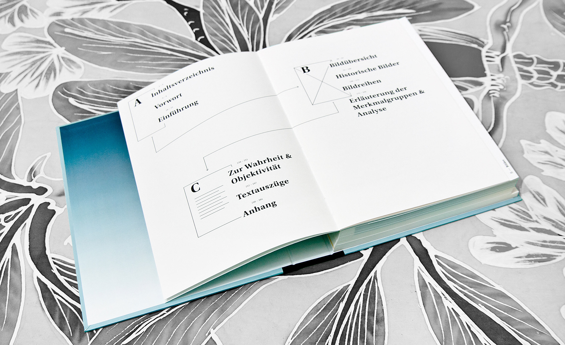 Das wahre Bild Daid Skopec Universtity of Applied Science Berlin Editorial Design Bookdesign Buchgestaltung Saskia Nebel