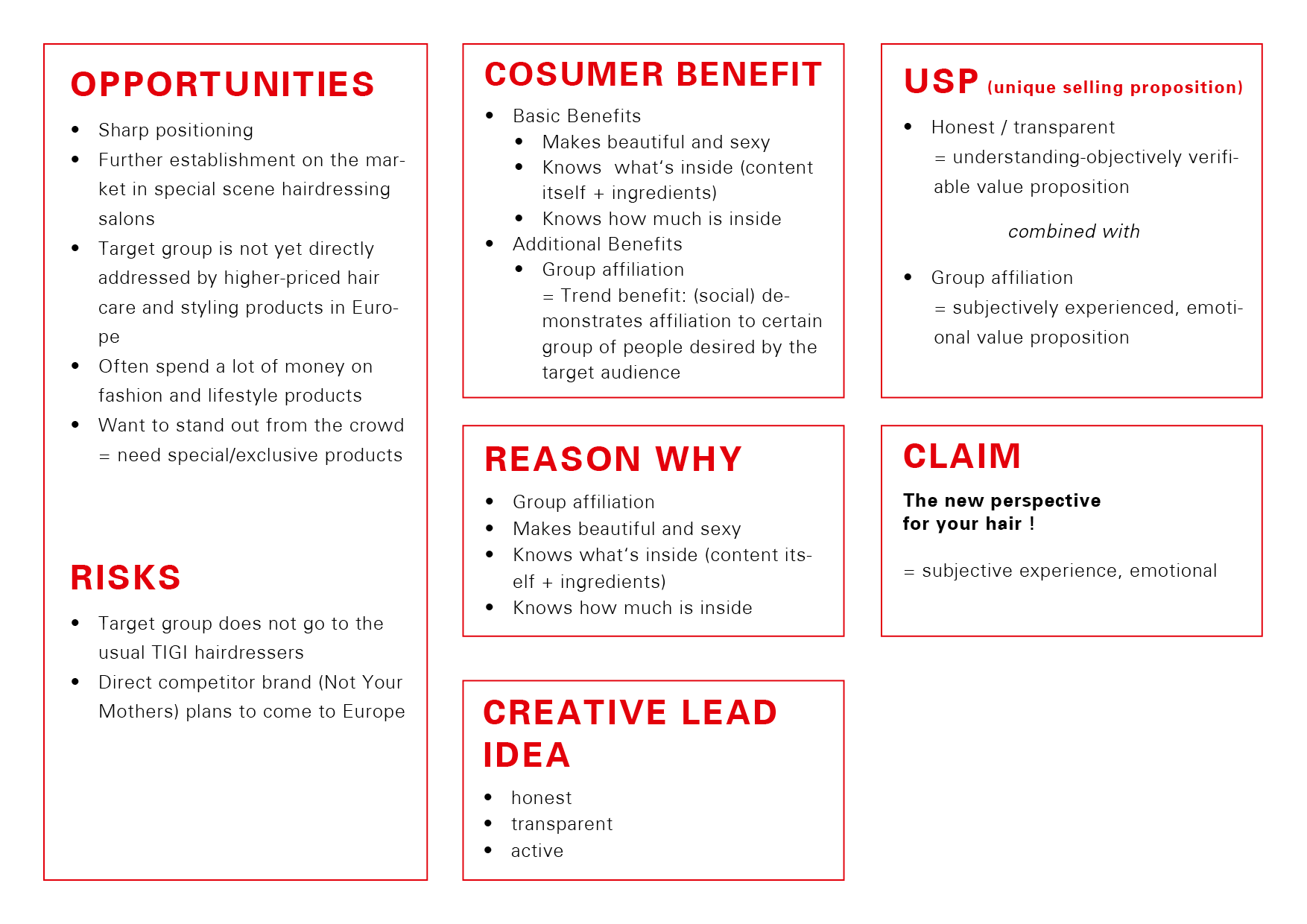 Brand Strategy: Opportunities, Risks, Consumer Benefit, Reason Why, Creative Lead Idea, USP (unique selling proposition), Claim
