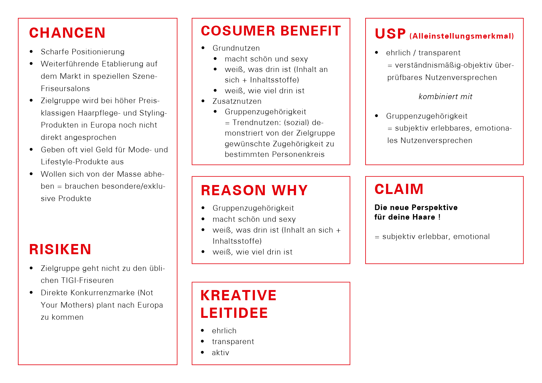 Markenstrategie: Chancen, Risiken, Verbrauchernutzen, Reason Why, Kreative Leitidee, USP (Alleinstellungsmerkmal), Claim