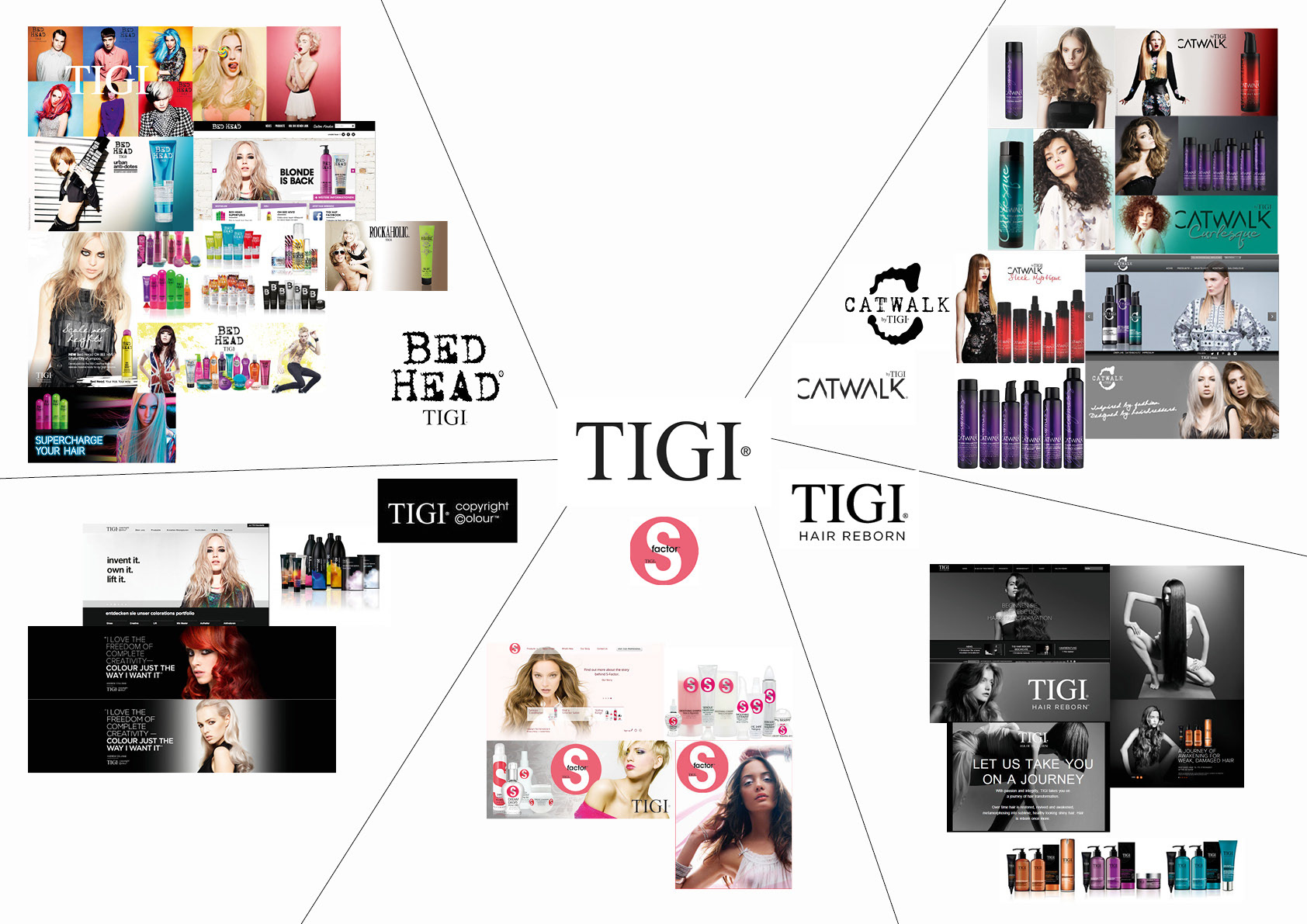 Infographic: Current brands of the company TIGI