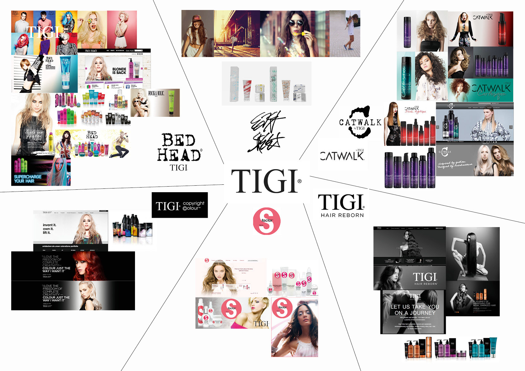 Infographic: Current brands of the company TIGI incl. newly created brand
