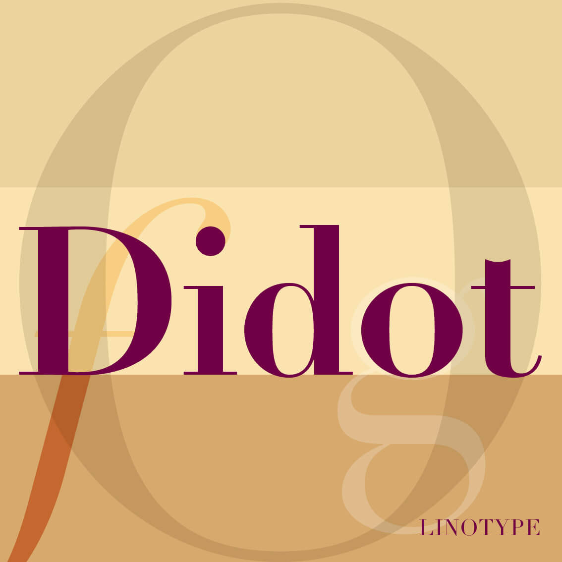 Typographic poster for Didot font