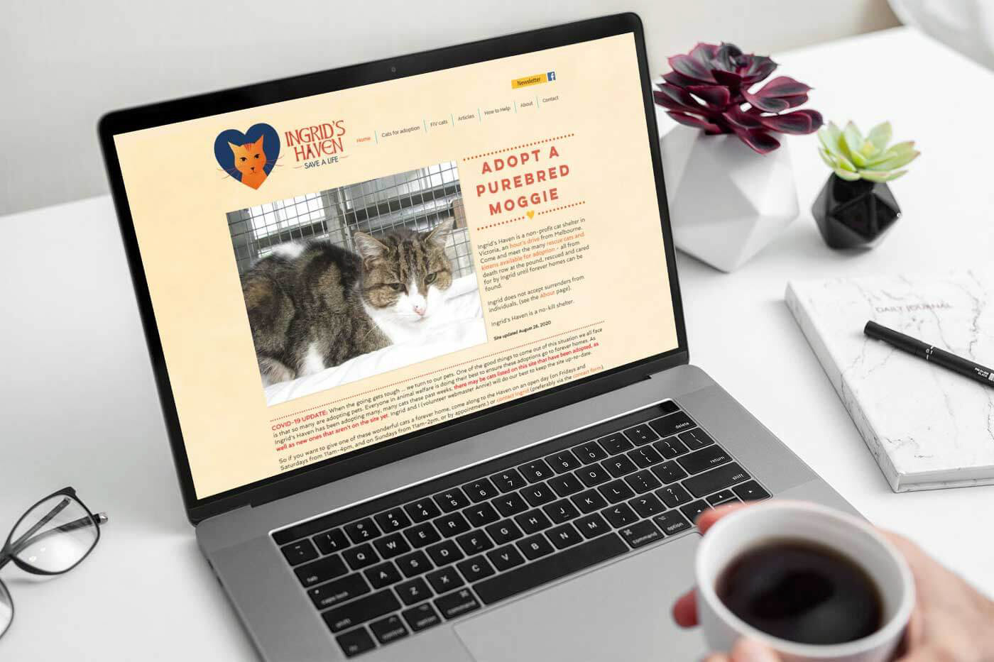 Cat shelter logo as shown on website homepage.