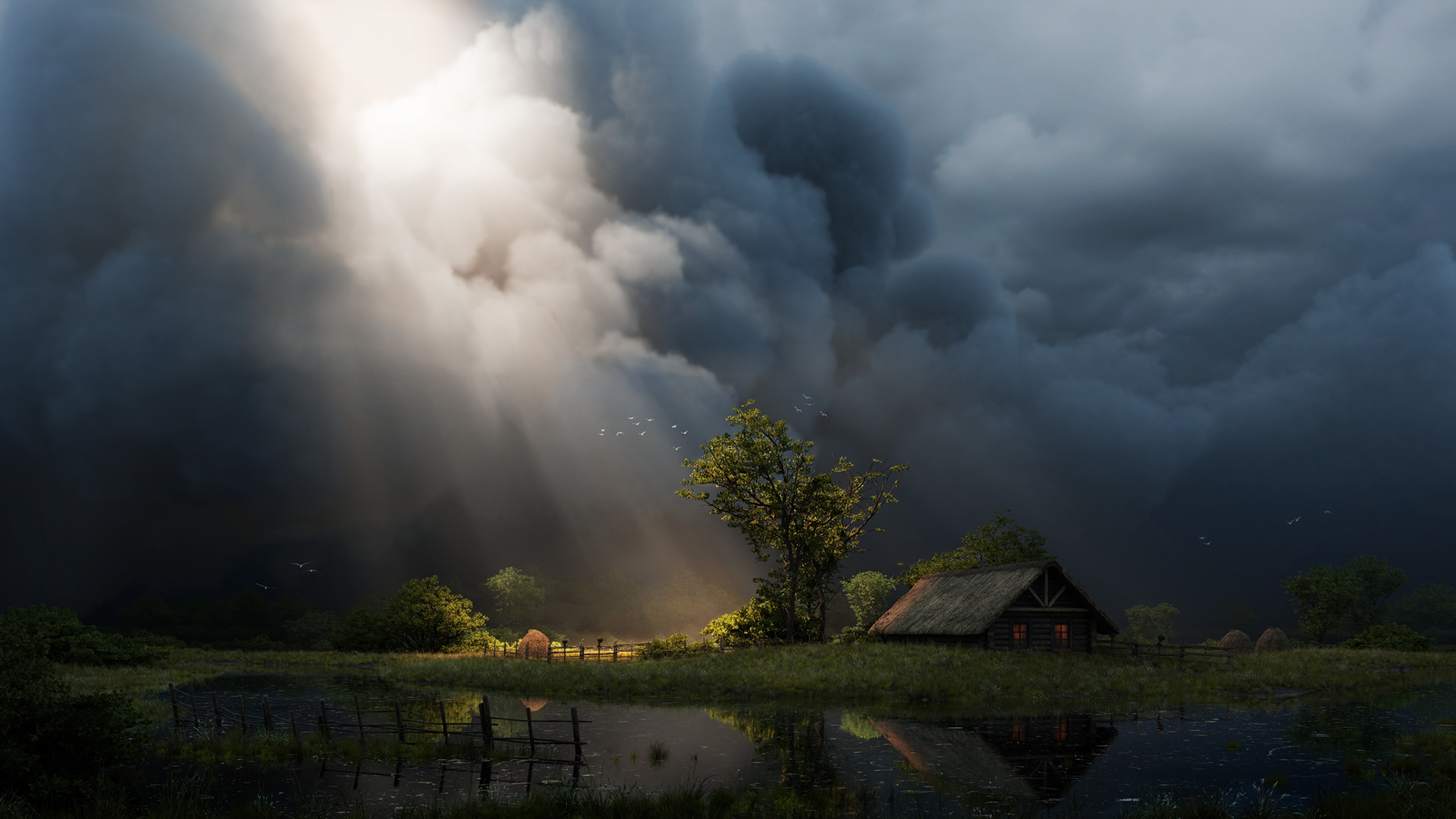 Sunlit Haven