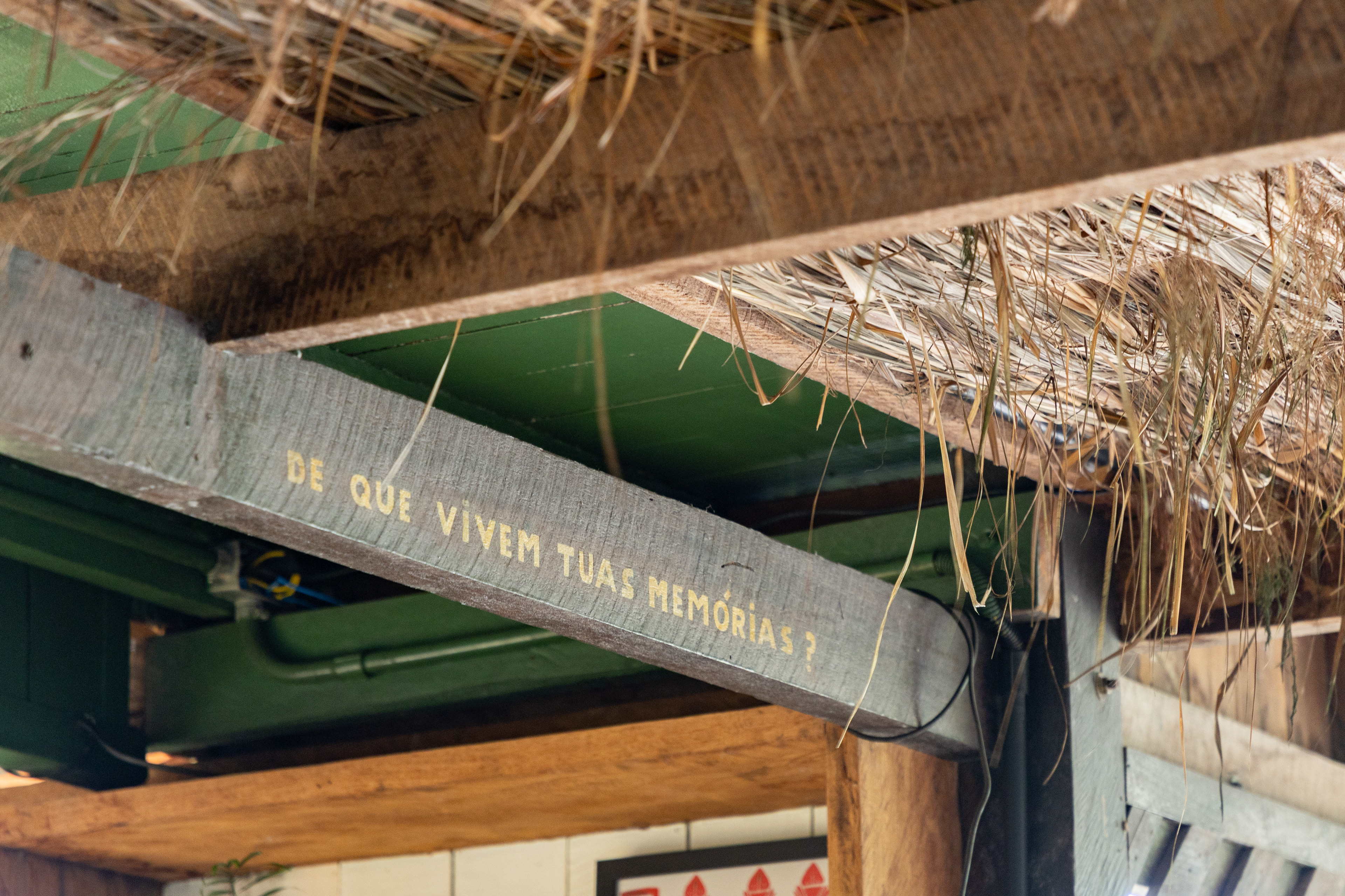 2025 - Leila Viegas - All rights reserved