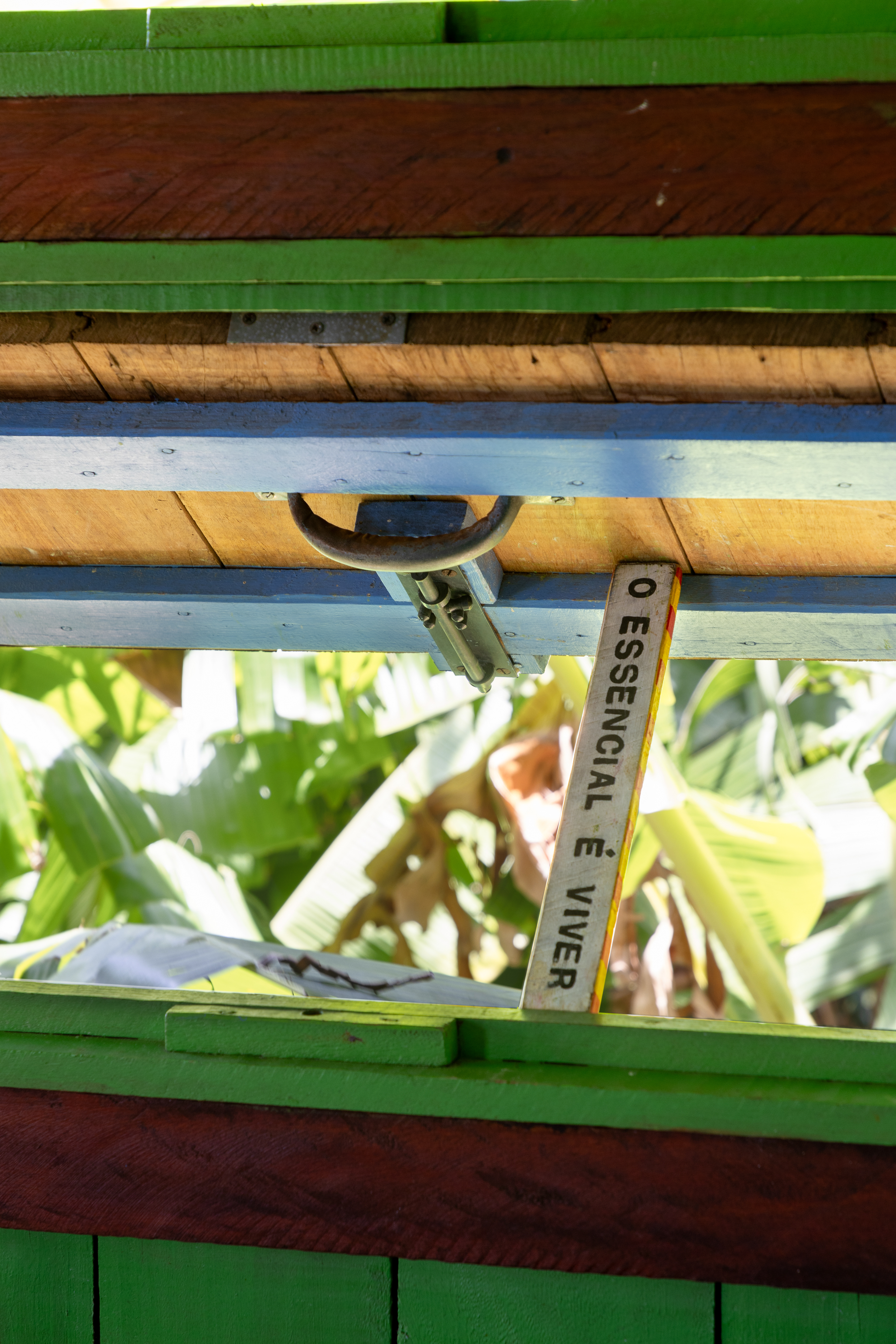 2025 - Leila Viegas - All rights reserved