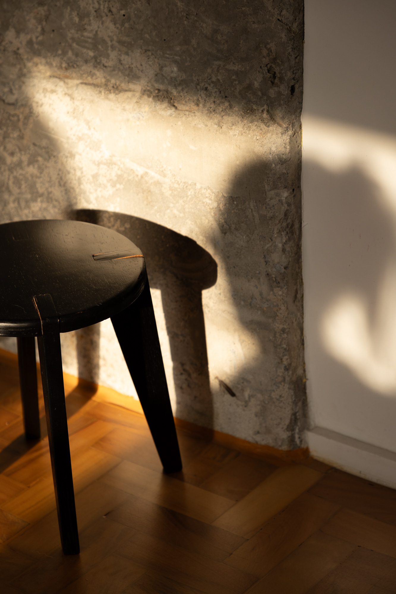 2025 - Leila Viegas - all rights reserved