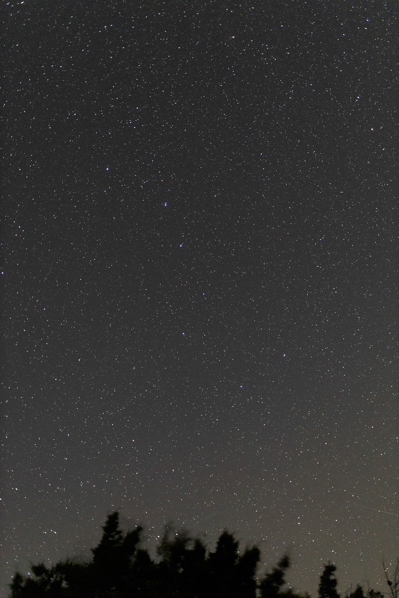 Some people still don't know what the Big Dipper constellation actually is. Can you see it? 