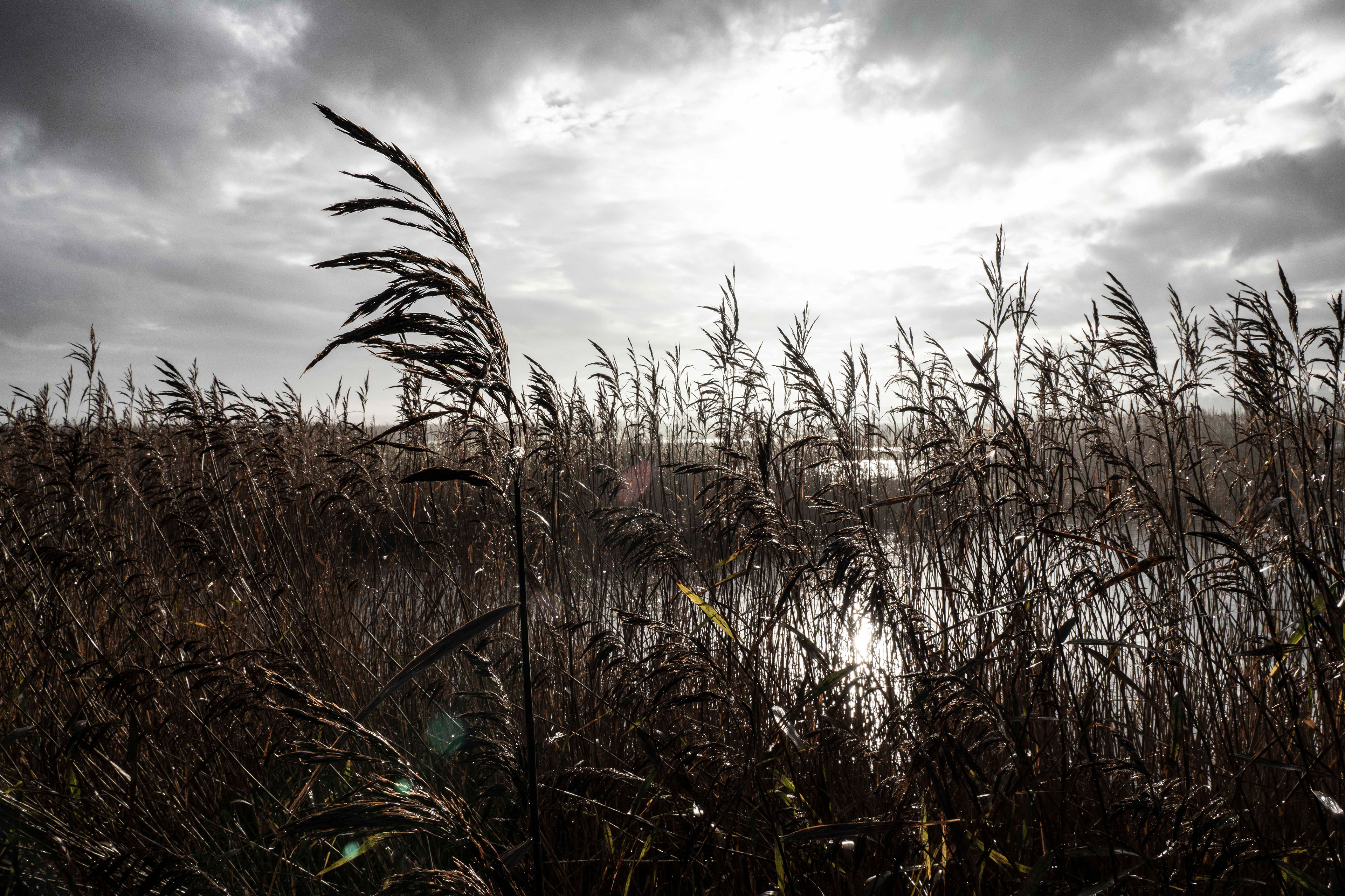 Norfolk, UK