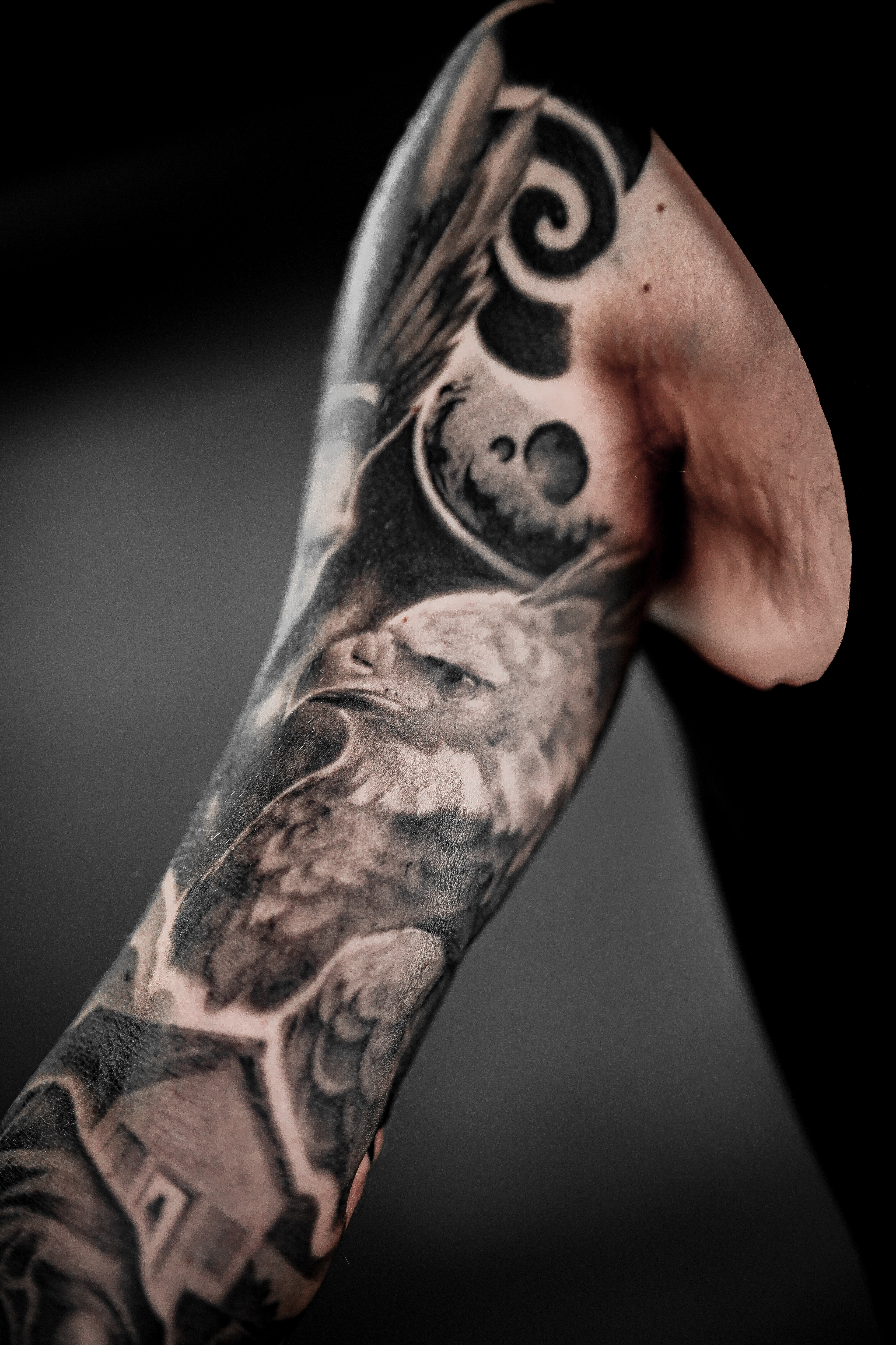 detalhe de tatuagem em realismo preto e cinza —águia harpia