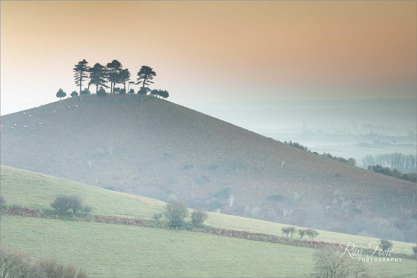 Colmer's Hill, Symondsbury