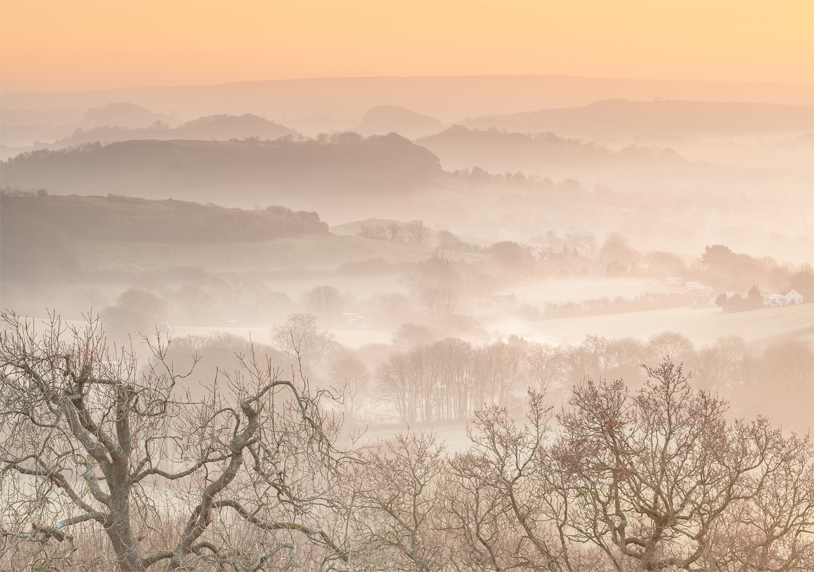 View Across Eype Down - 18