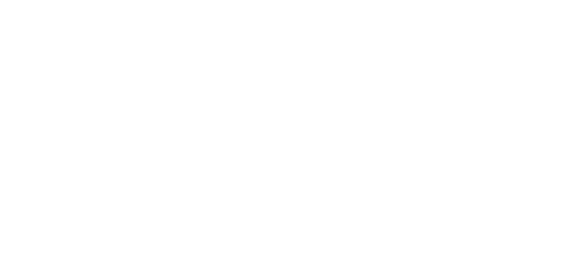SalviGFX