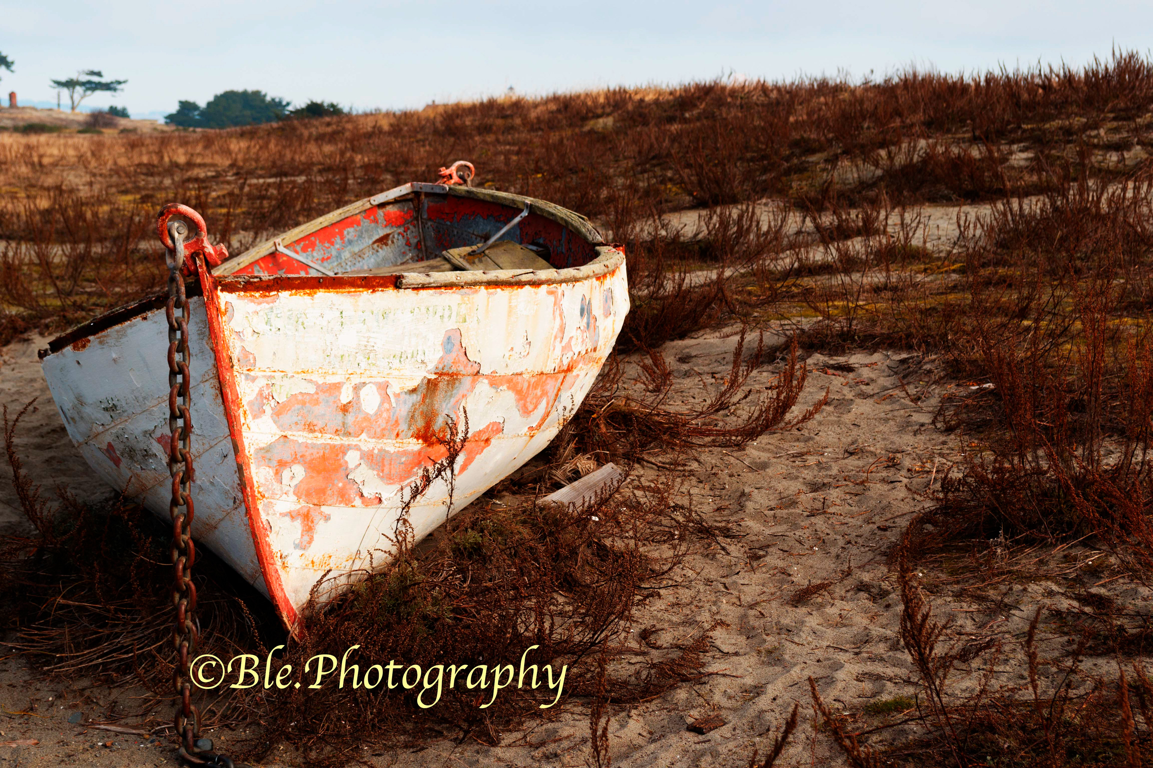 Beached Boat
