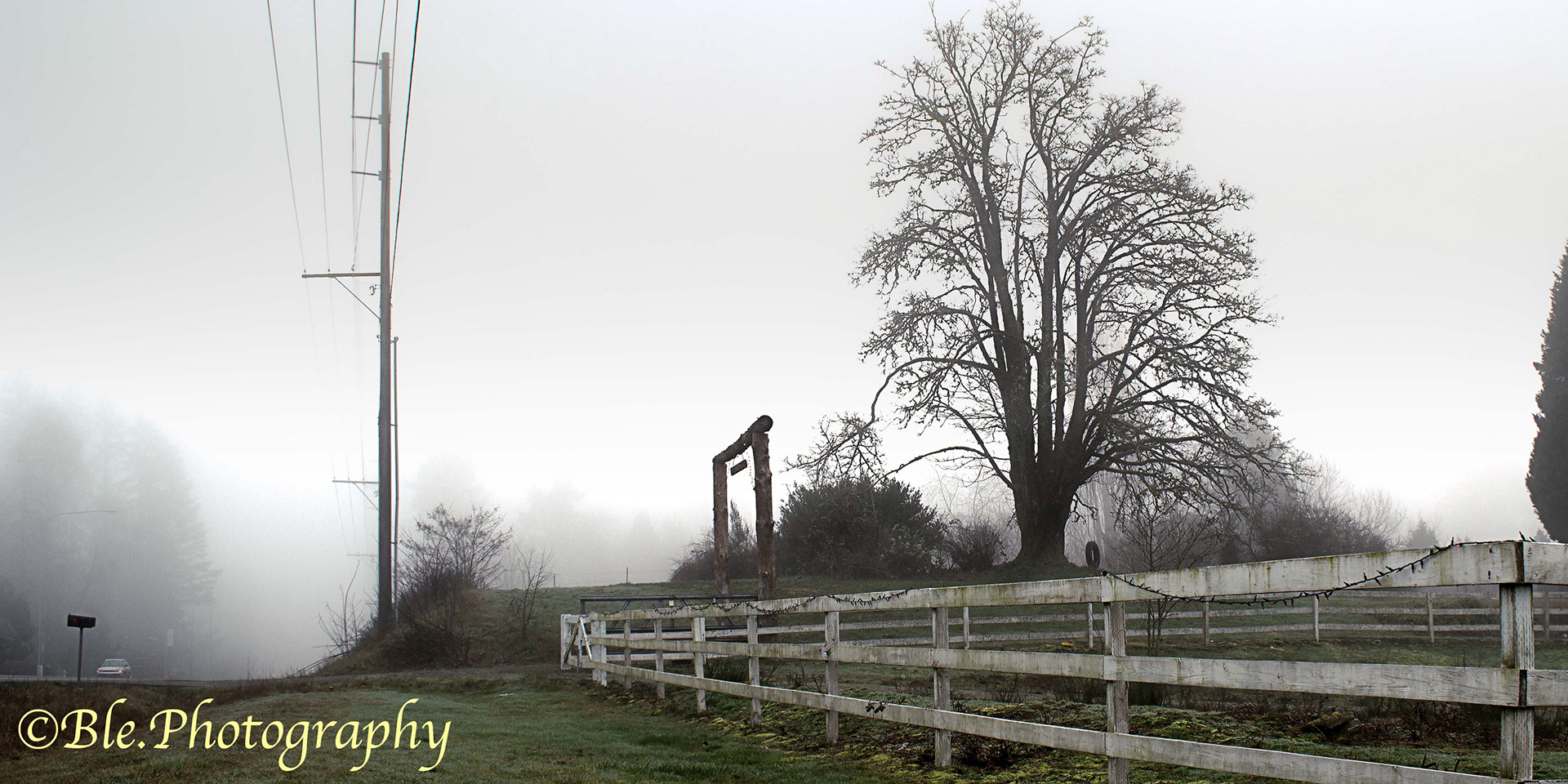 Foggy Acres