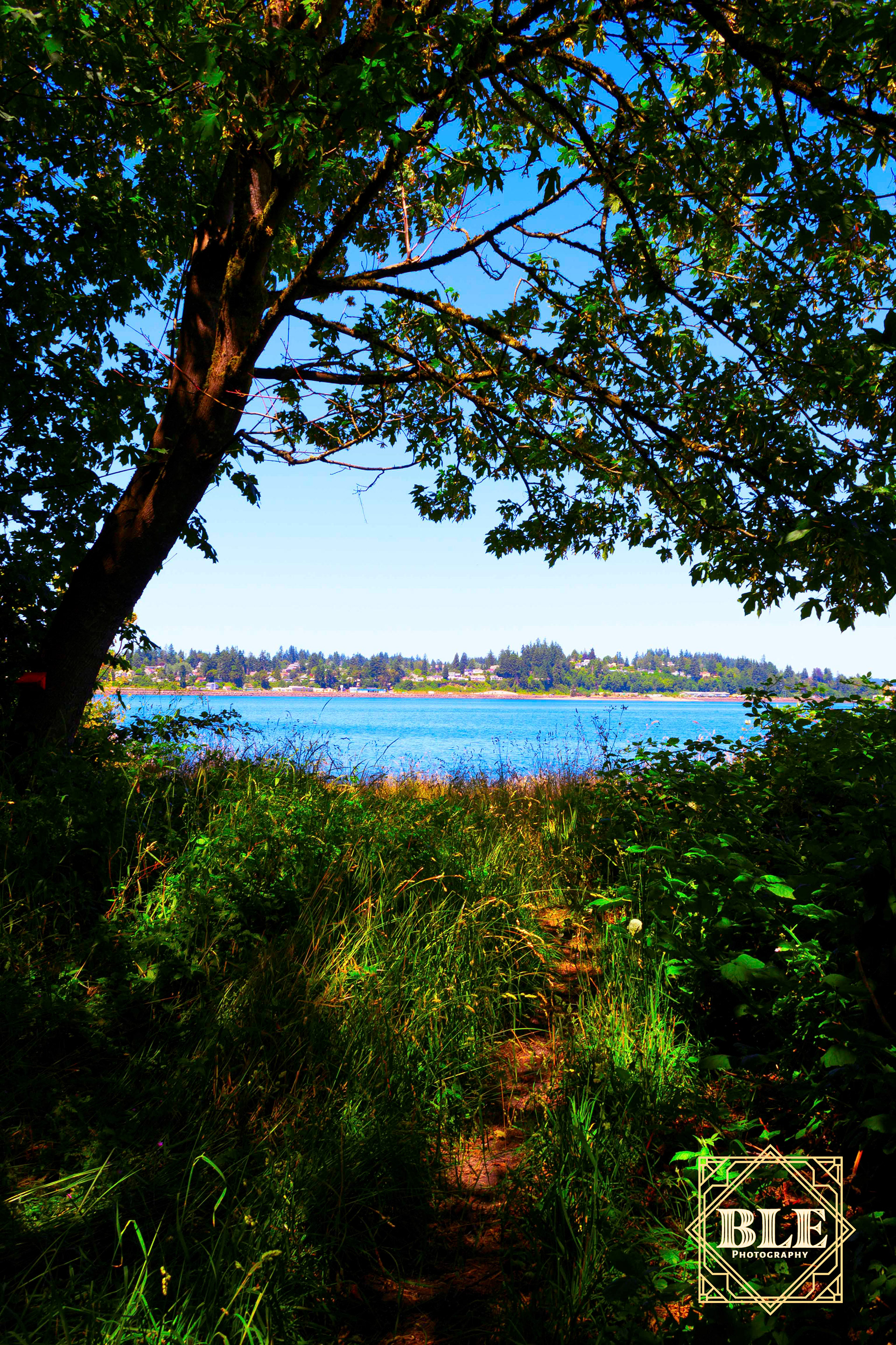 The Trail to the Beach