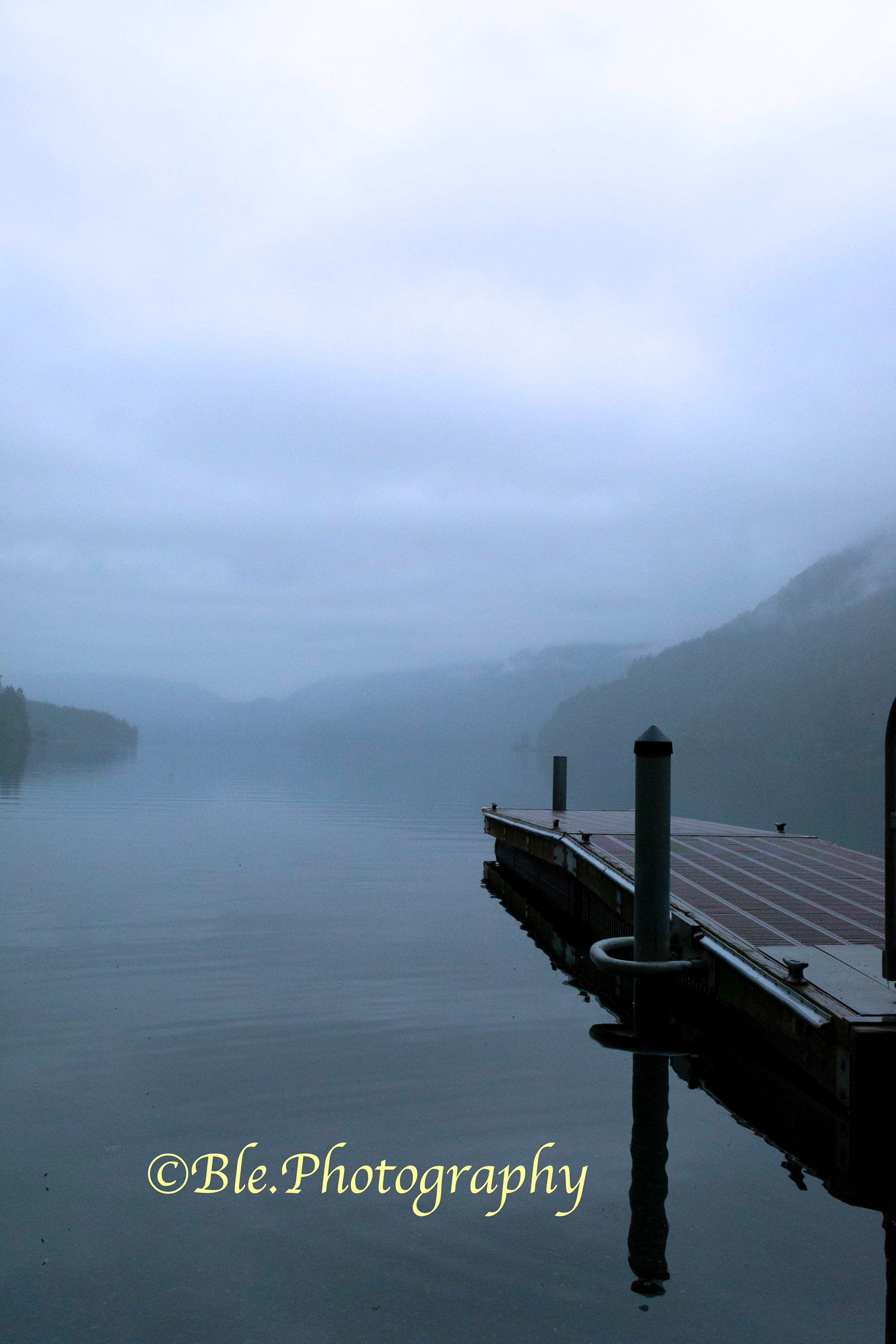 Dockside Fog