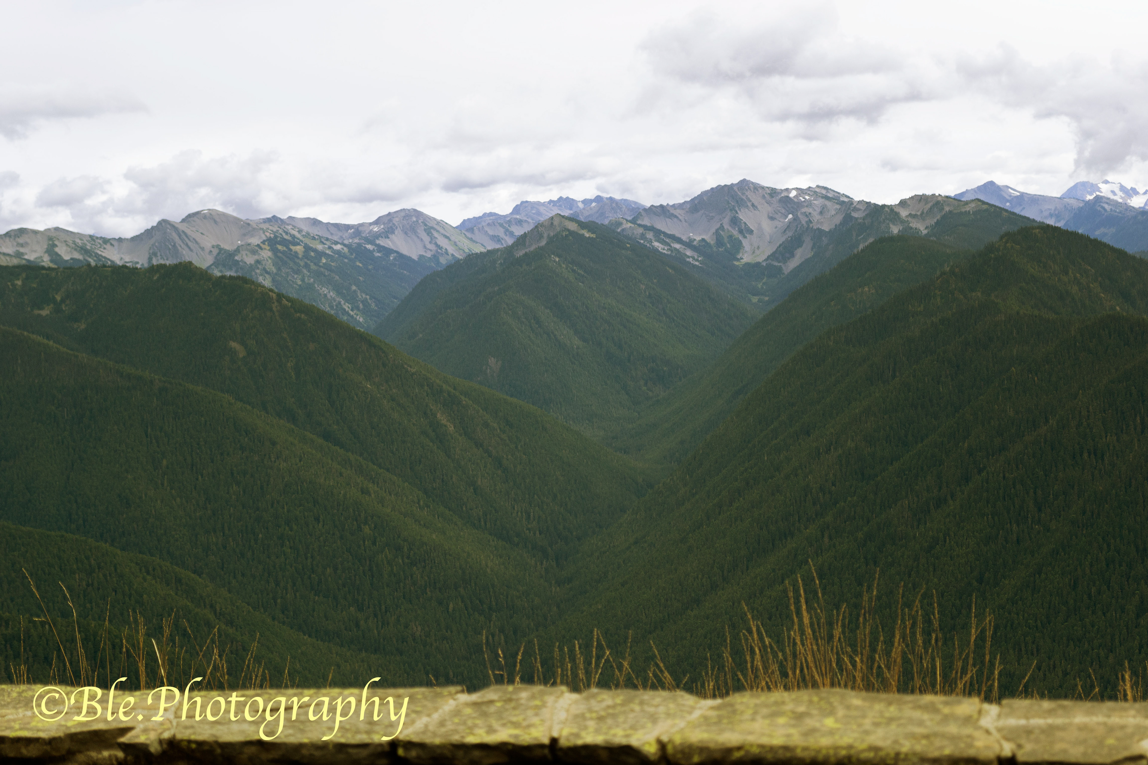 Hurricane Ridge