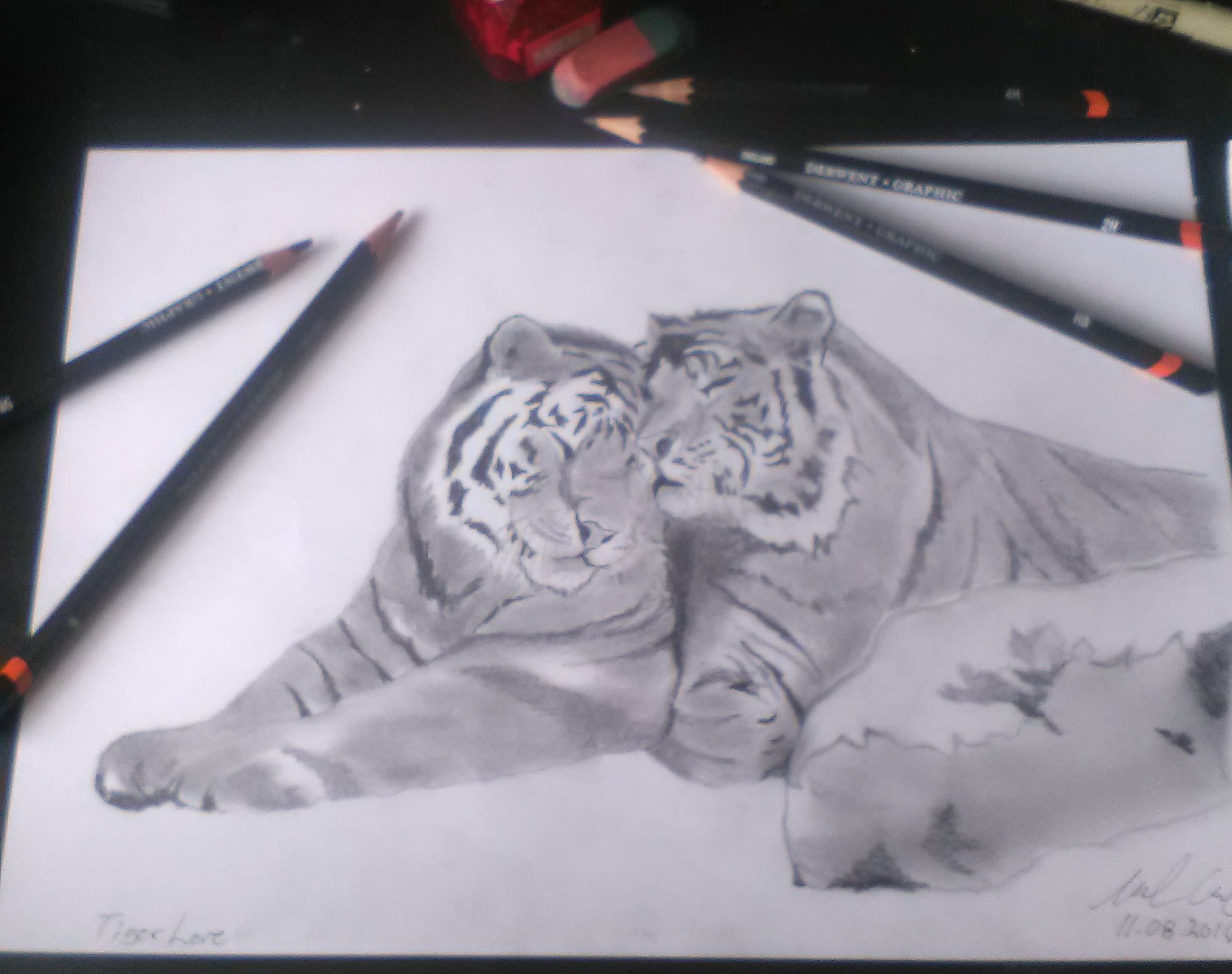 Pencil drawing for client