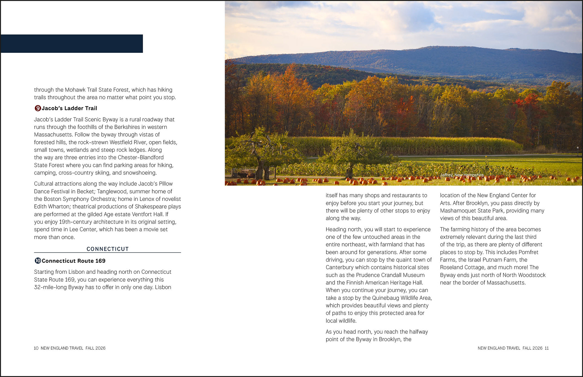 Interior spread from New England Travel by Wendy Steckler Designs