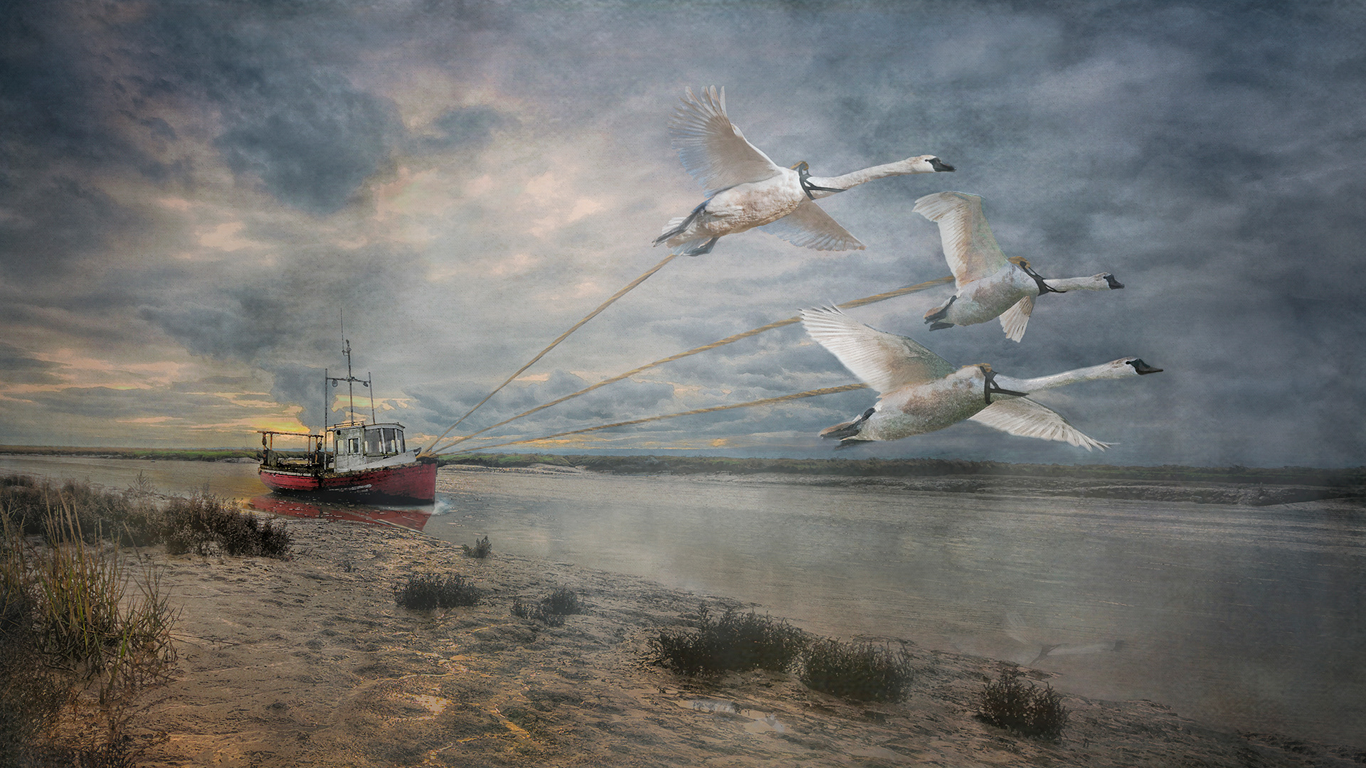 Swan song her final journey