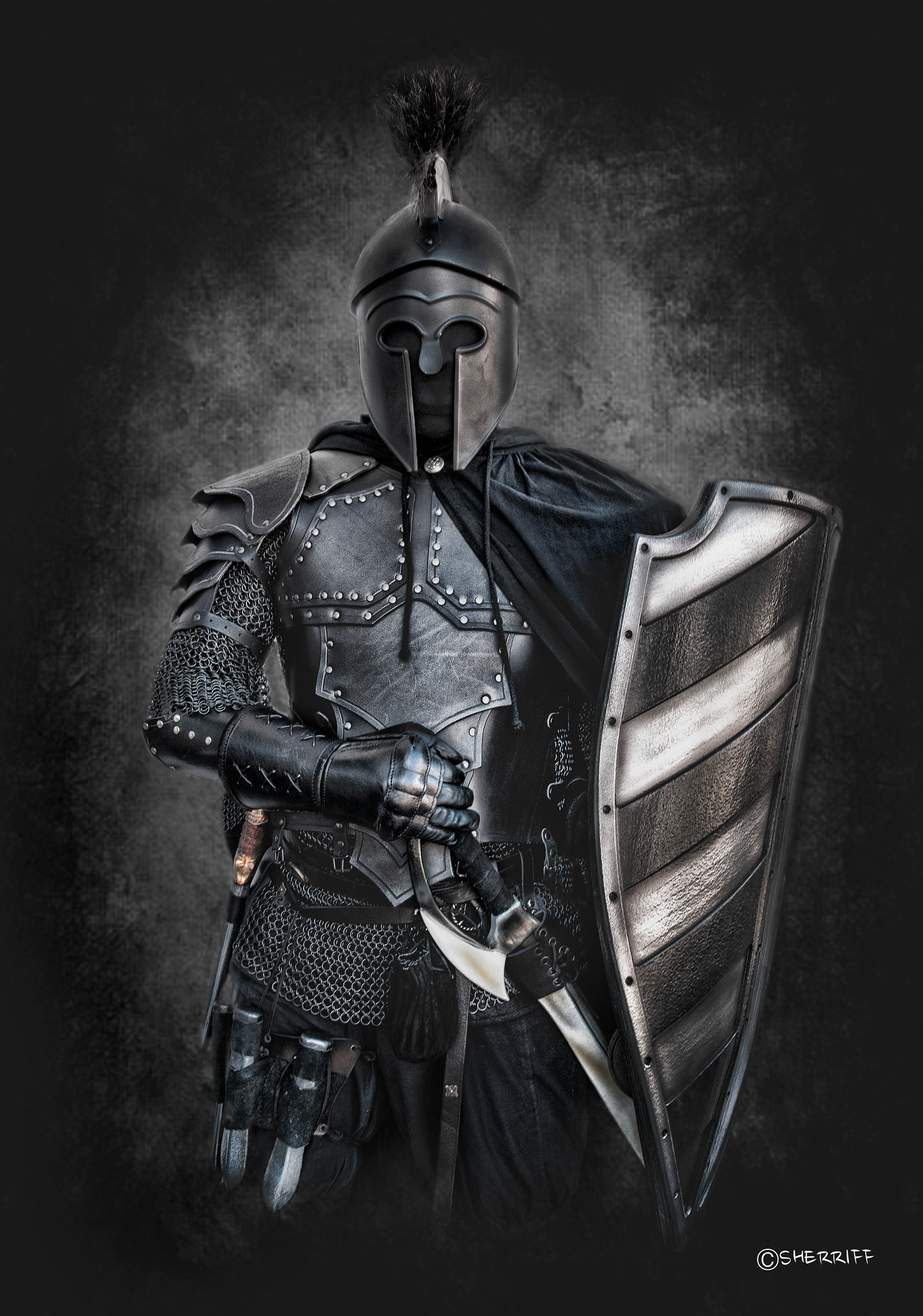 THE ASSASSIN