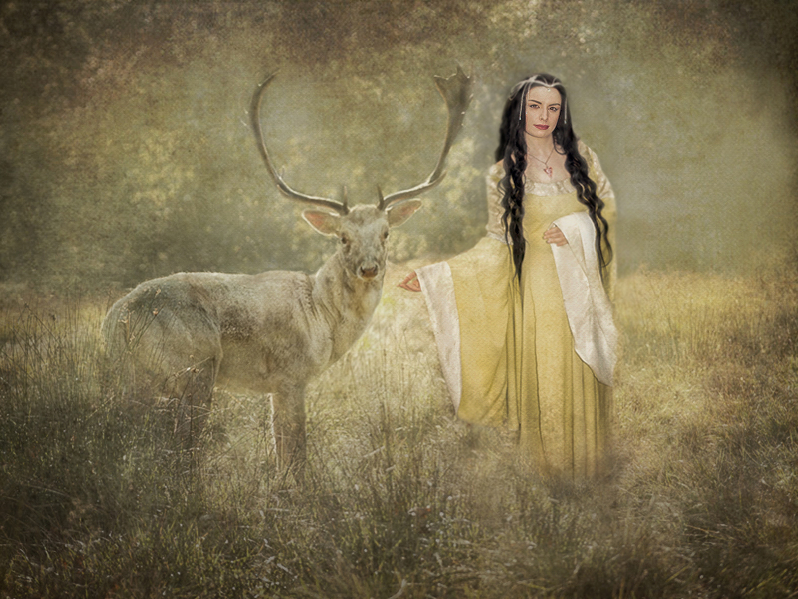 HART OF THE FOREST