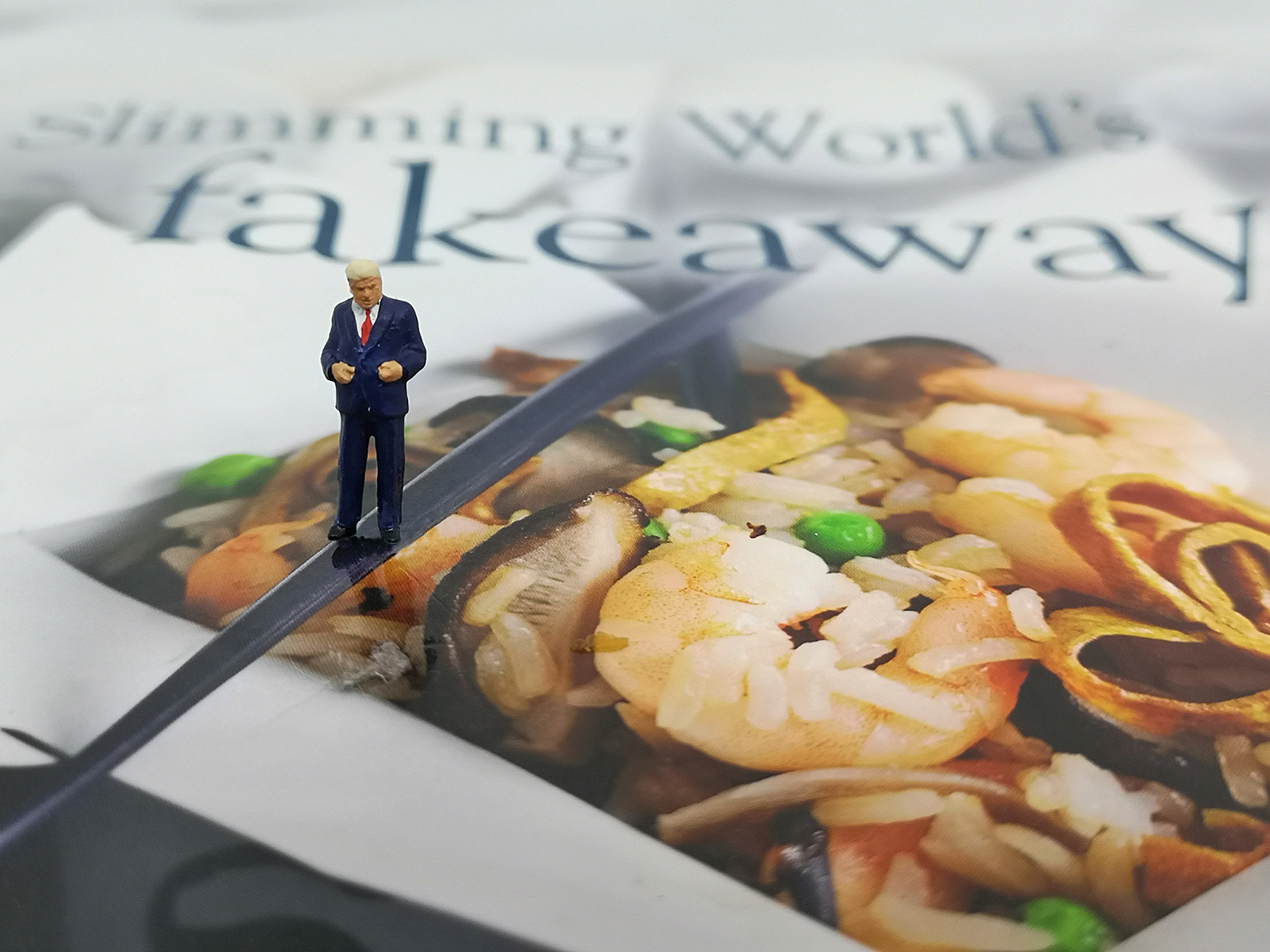 FAKE FOOD ... AMERICA NEEDS BURGERS