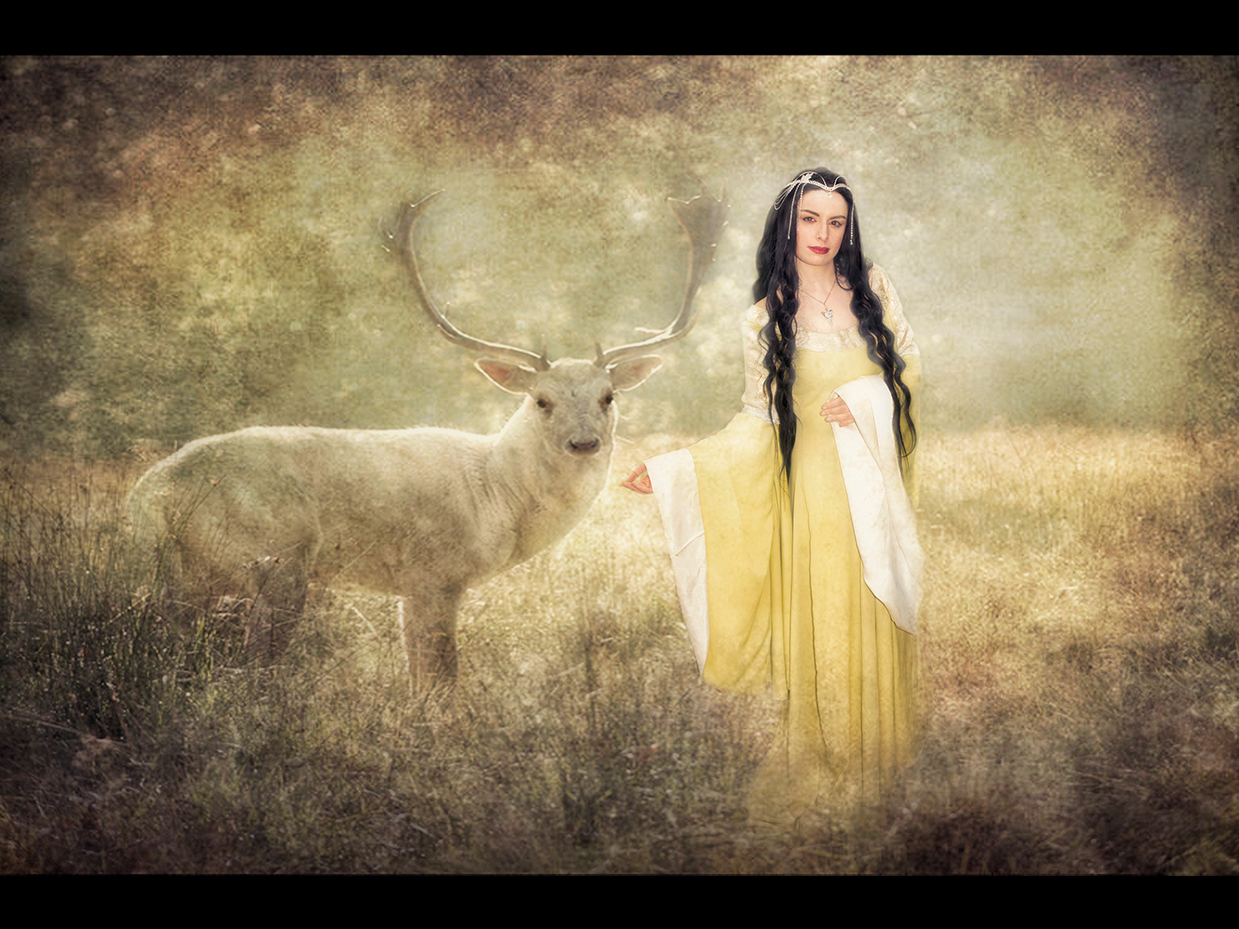 HART OF THE FOREST