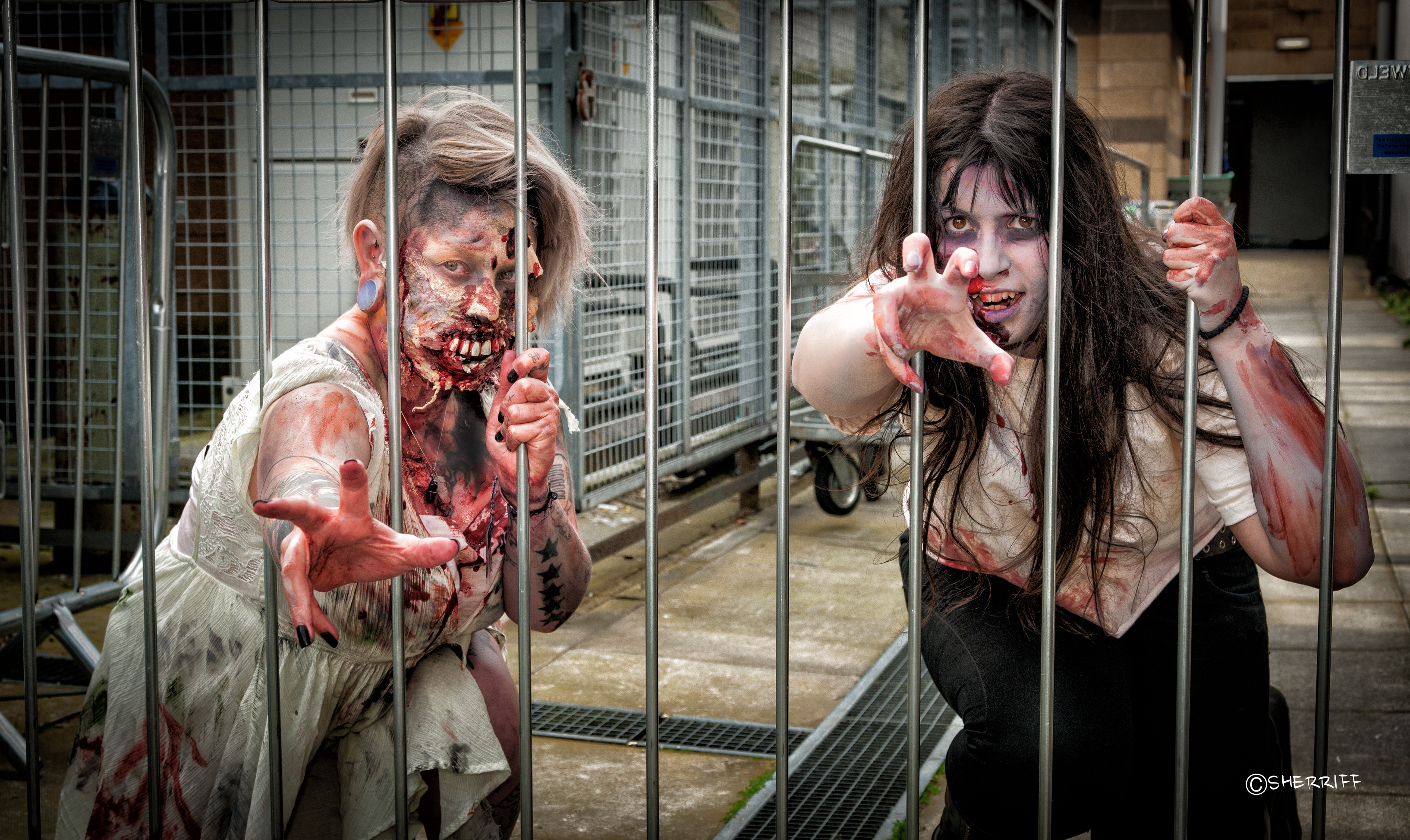 ZOMBIES