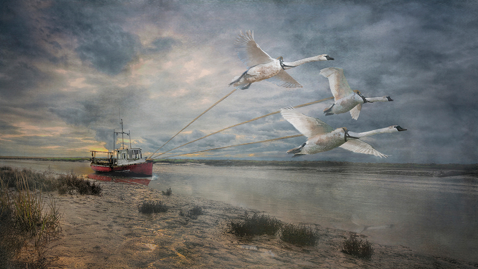 swan song her final journey