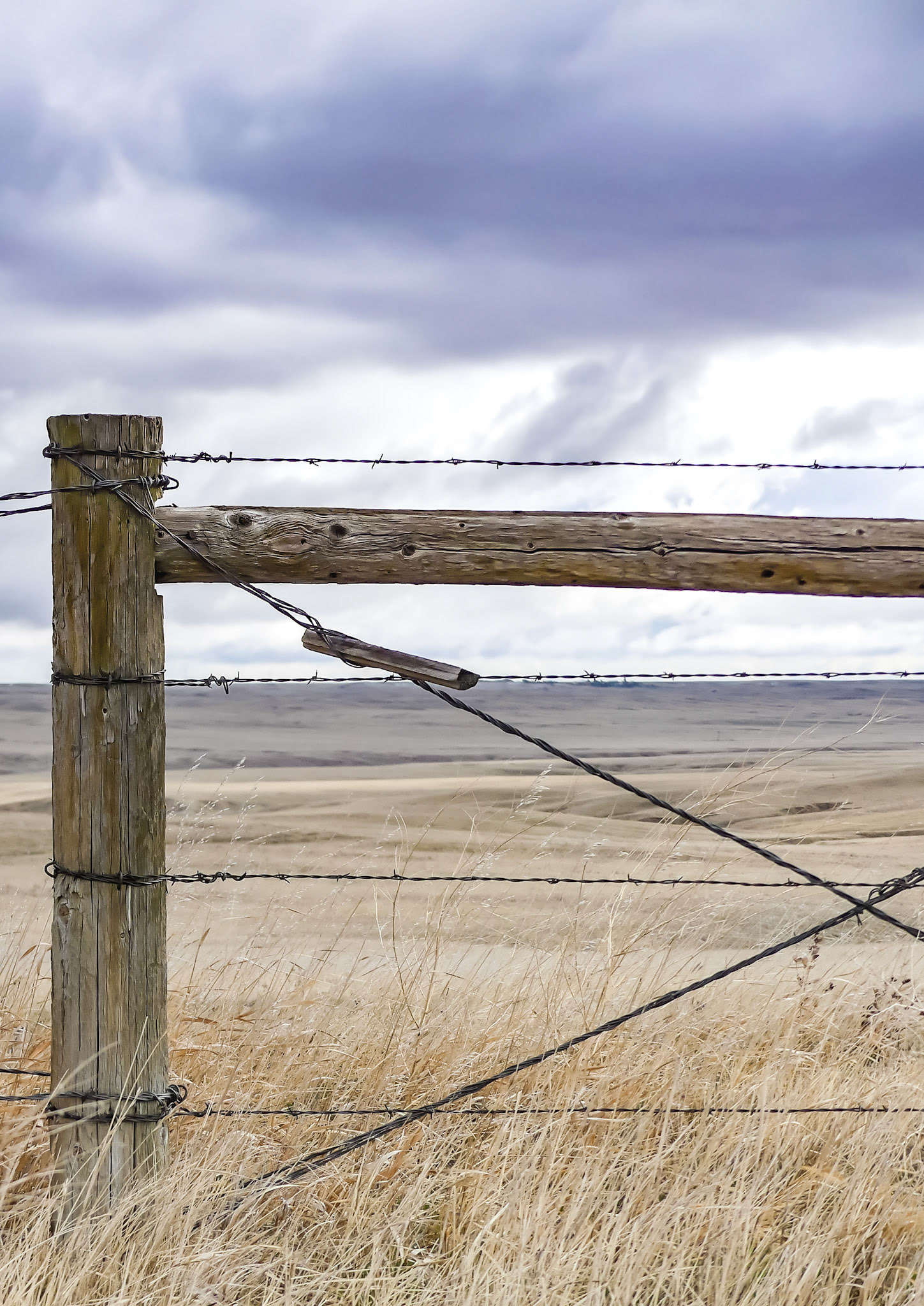 Fence and Barbed Wire
