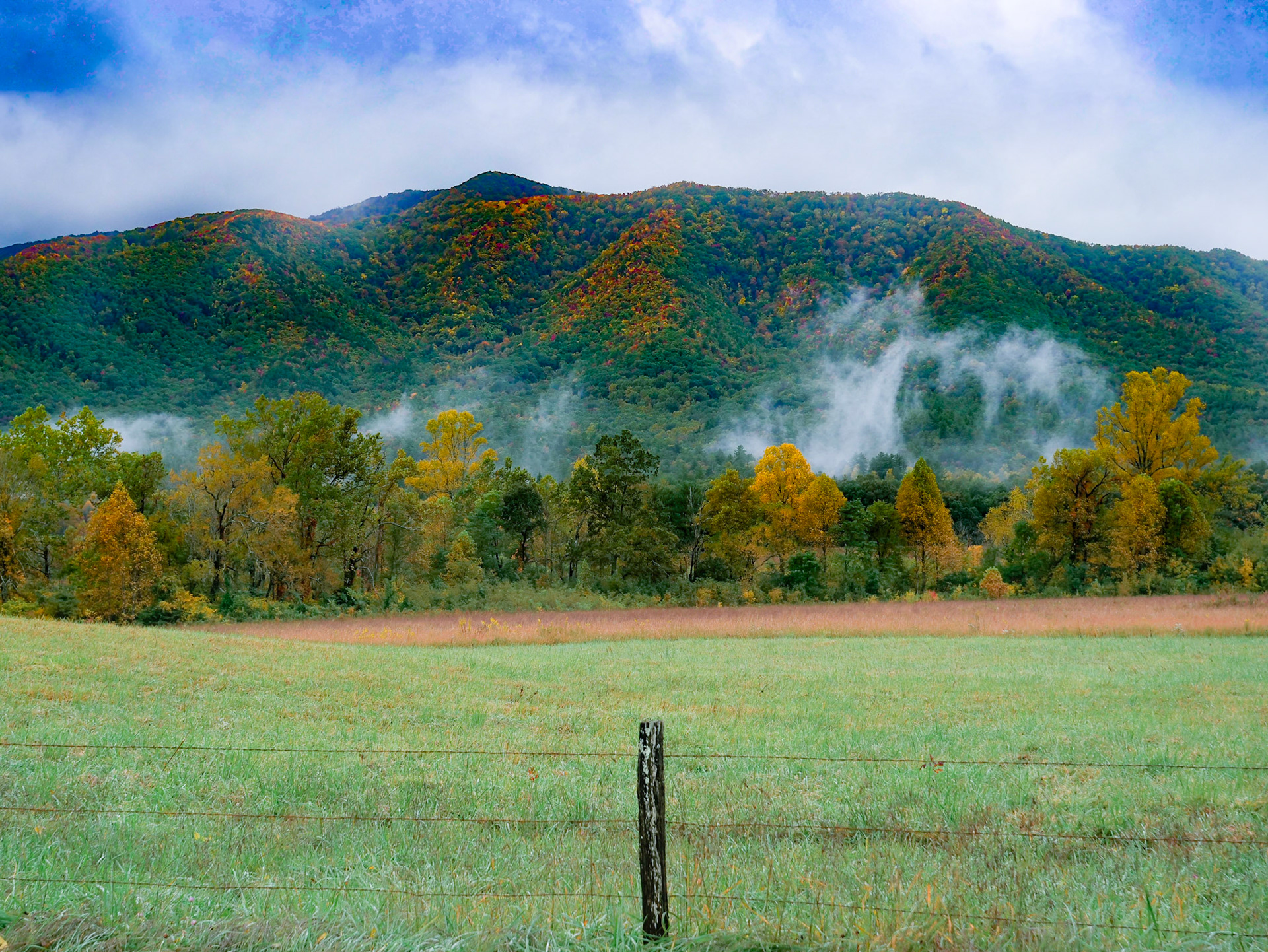 Cades Cove Oct Fog