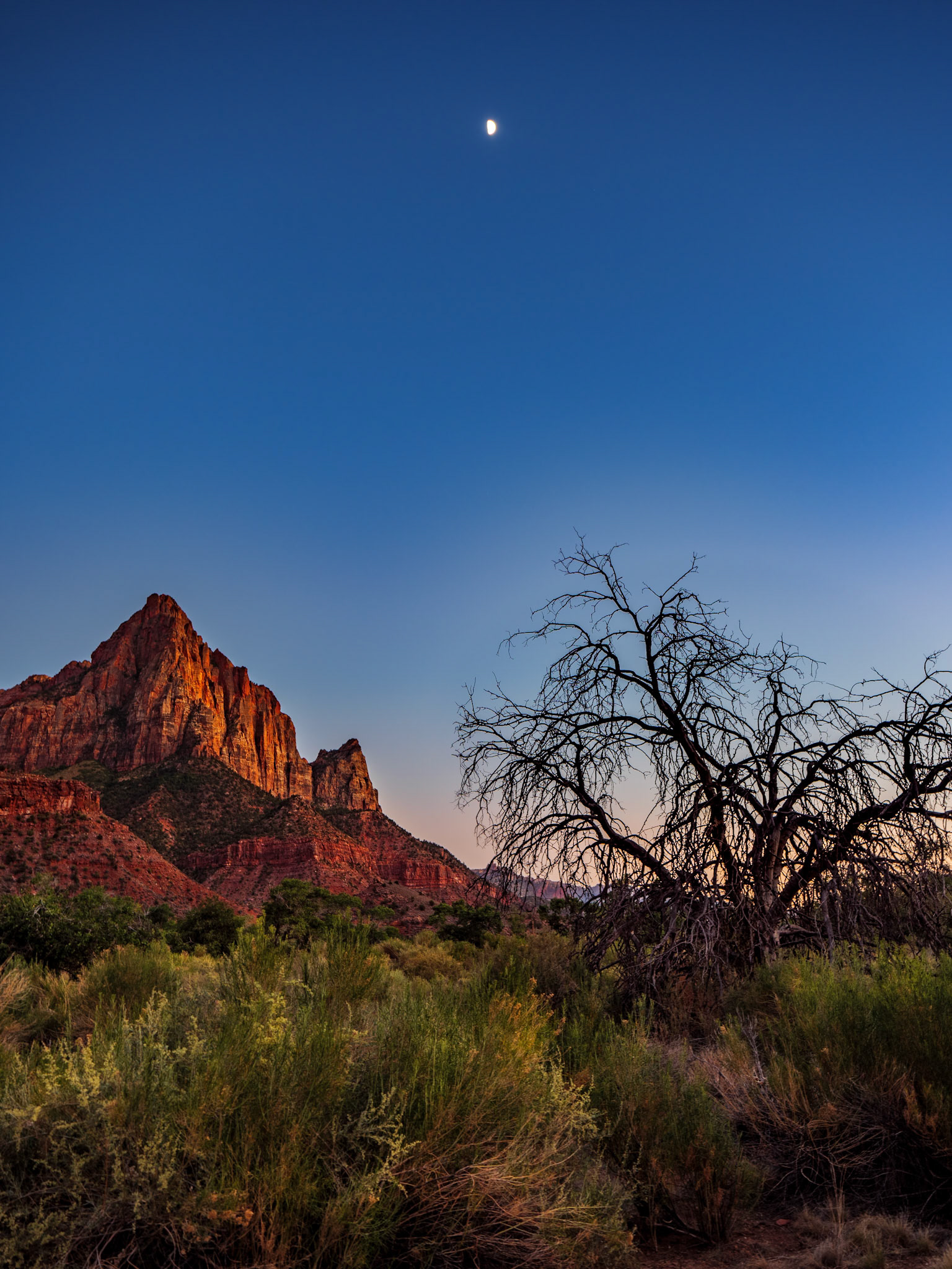 Watching The Watchman