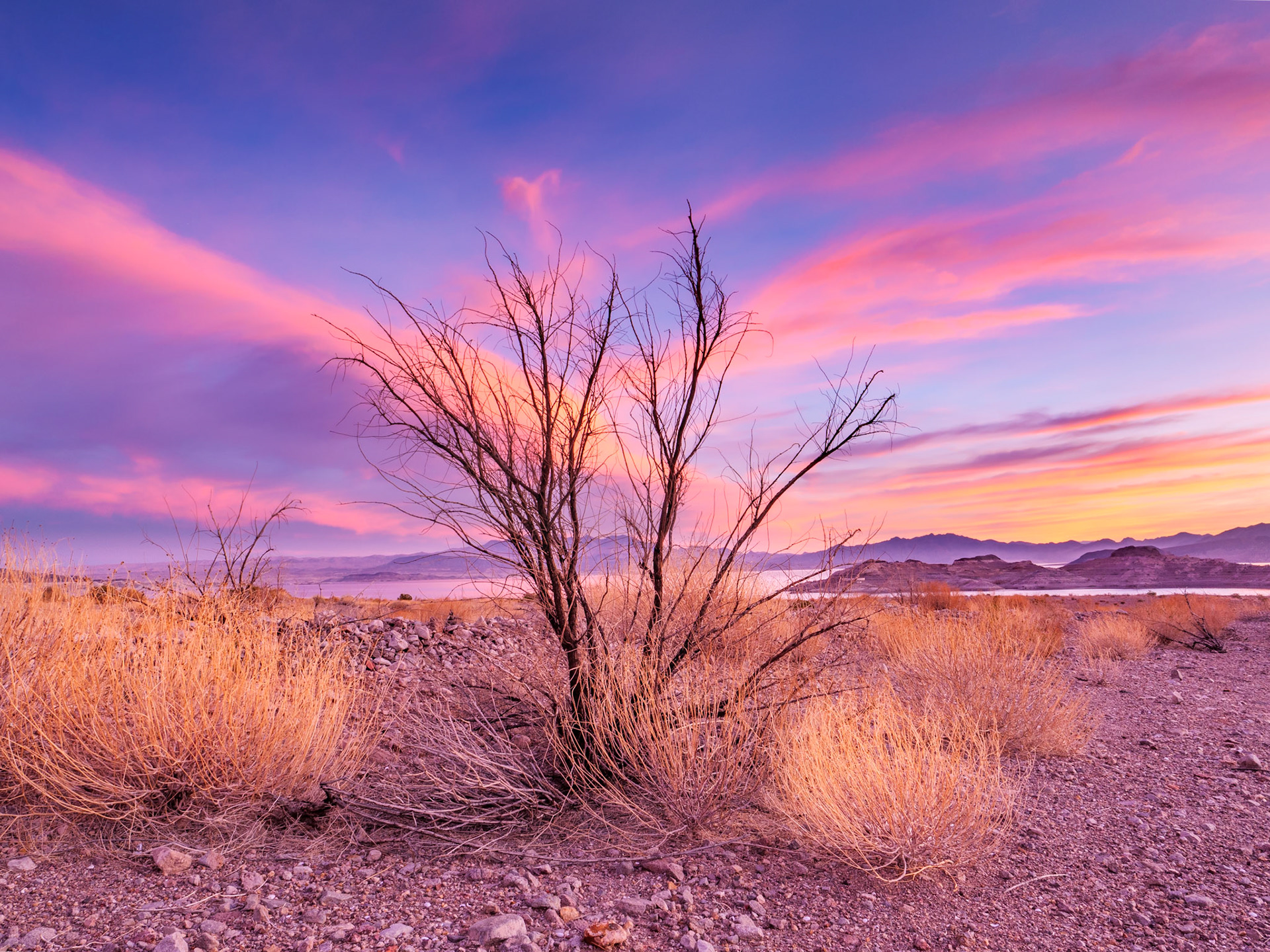 Lake Mead Morning