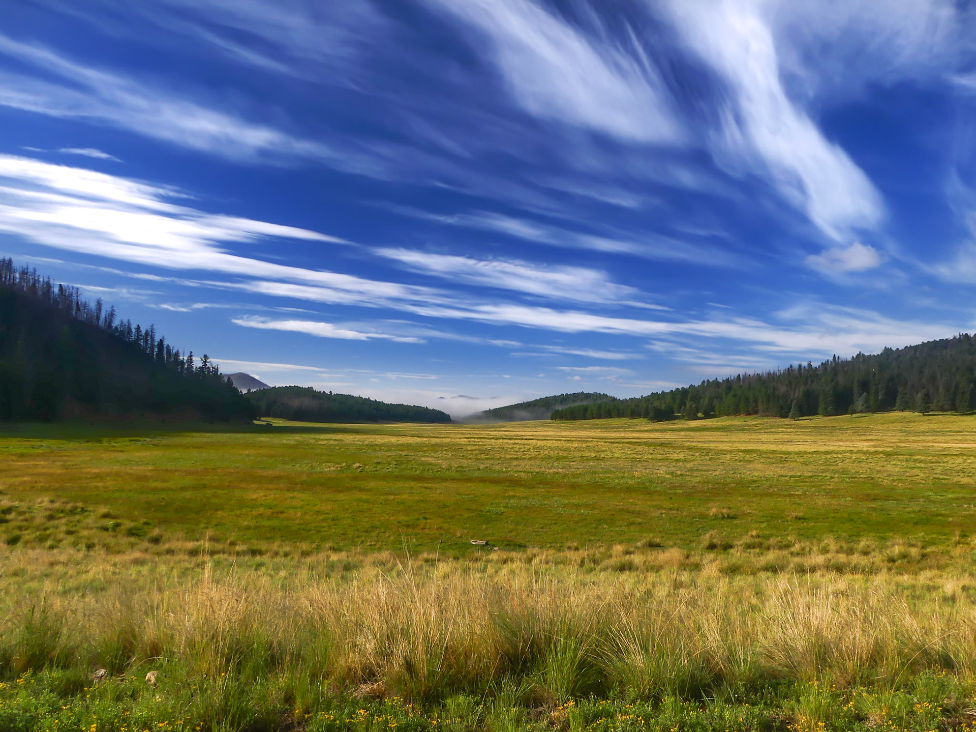 Morning Clouds and Fog in Valles Caldera